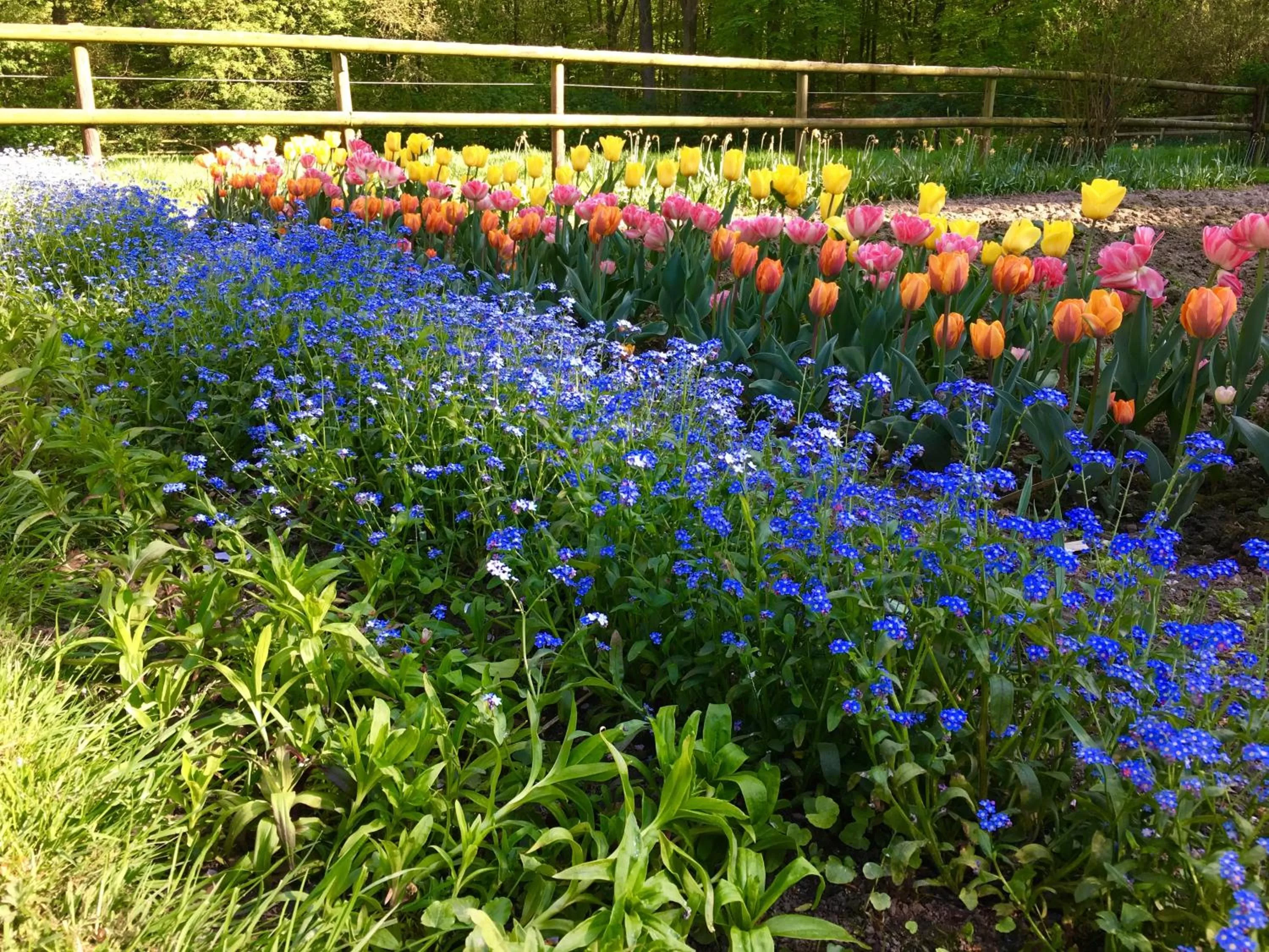 Forsthaus Heiligenberg