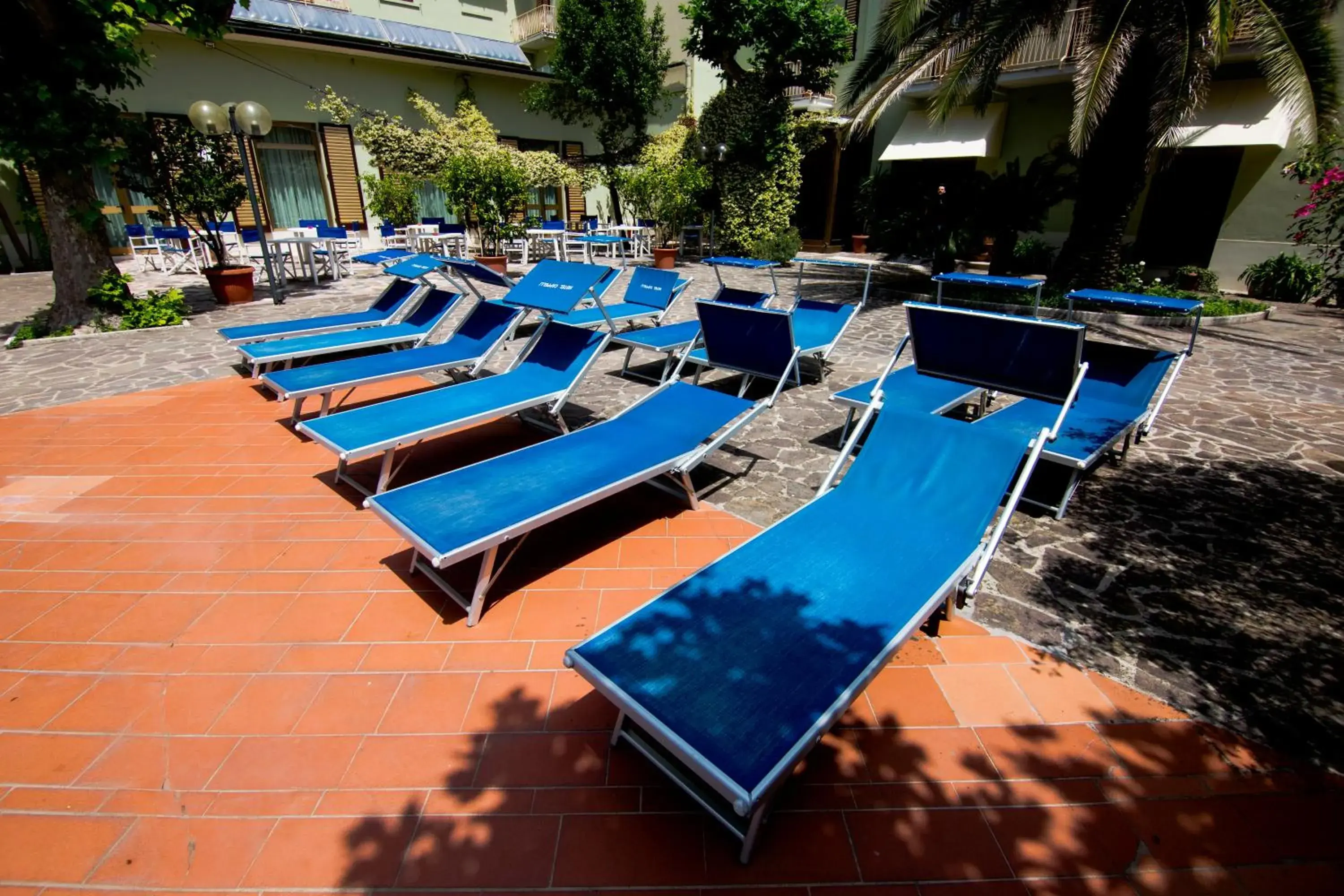 Solarium, Swimming Pool in Hotel Cappelli