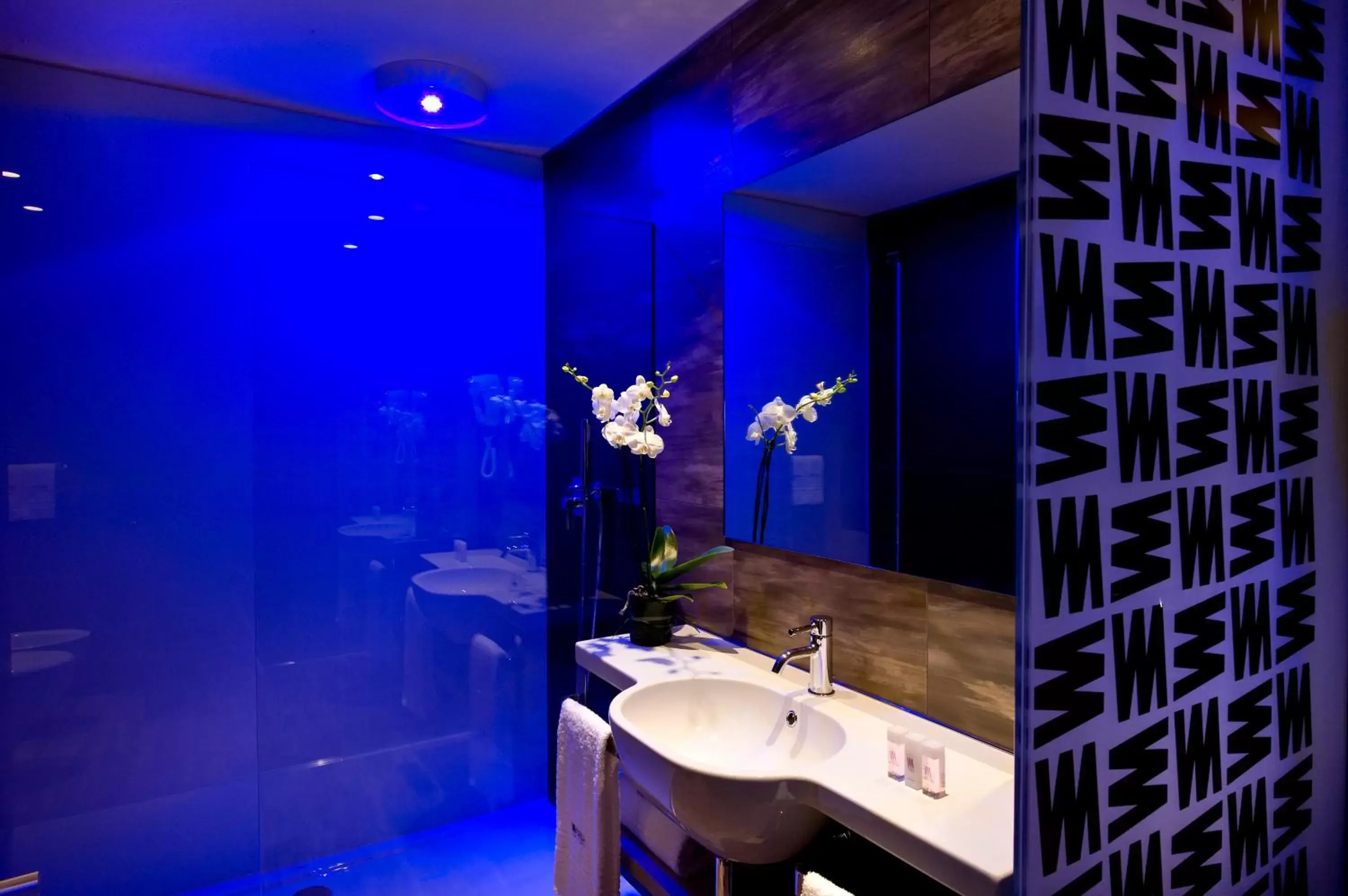 Shower, Bathroom in Viola Mhotel