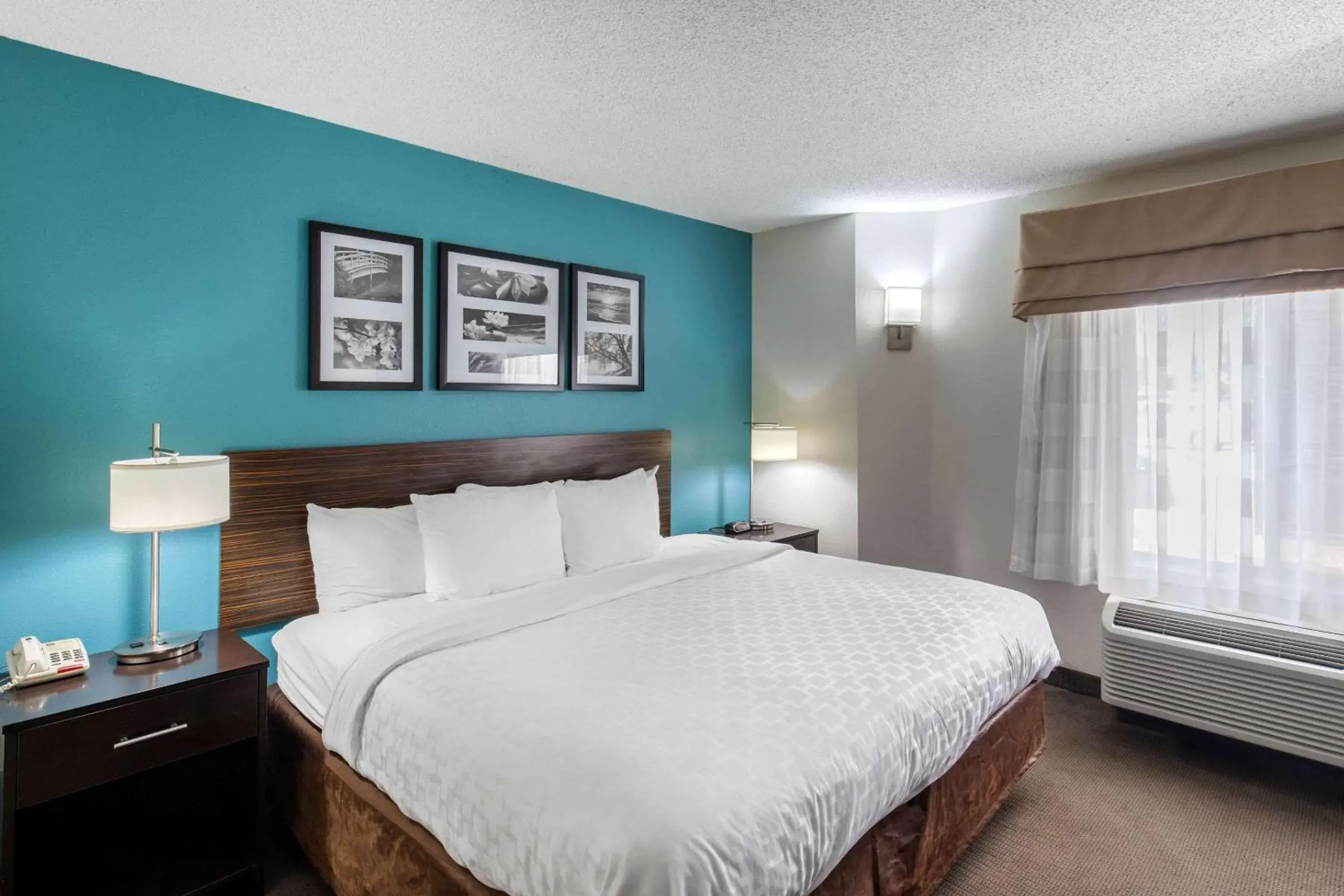 Photo of the whole room, Bed in Clarion Inn & Suites DFW North