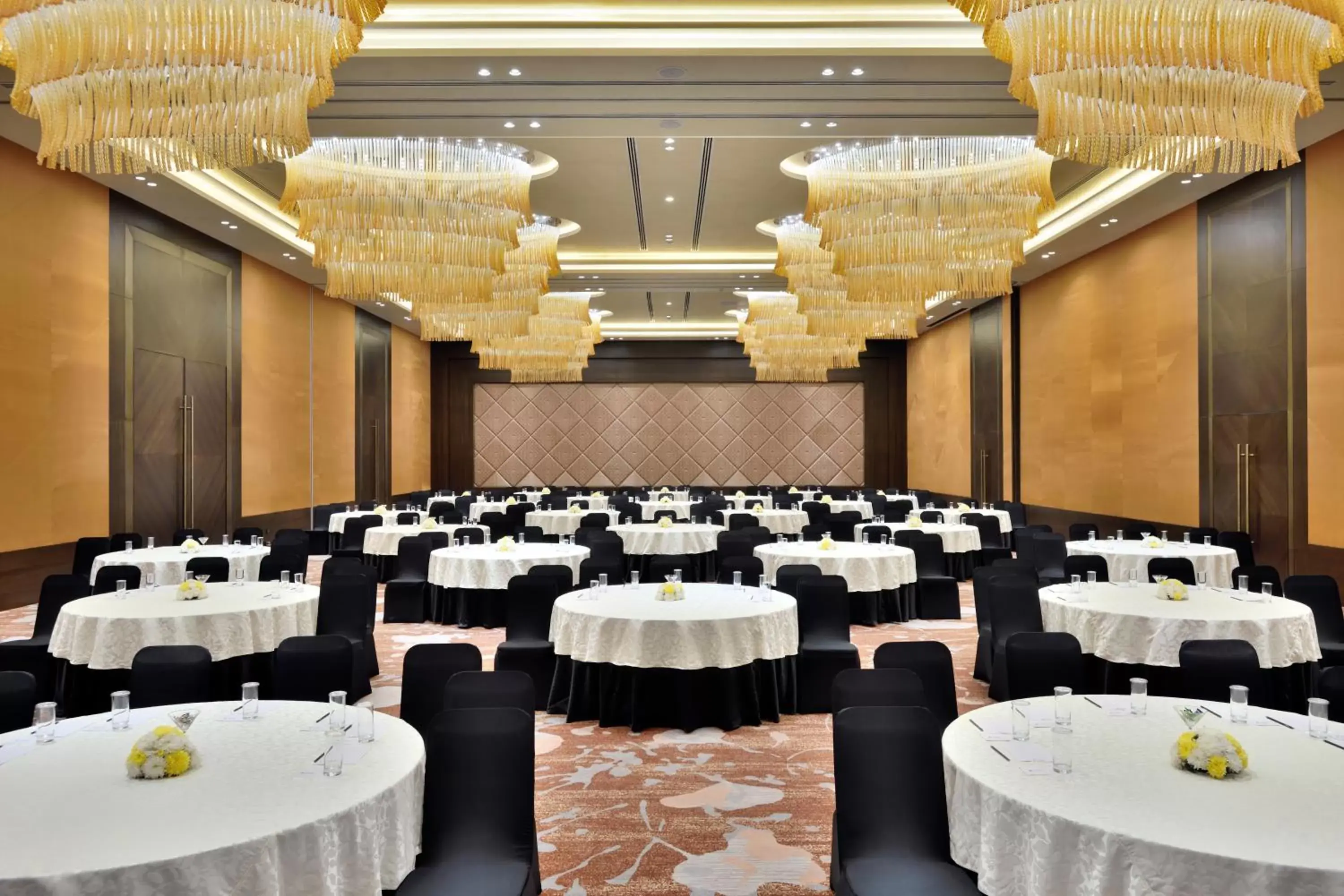 Banquet/Function facilities, Banquet Facilities in Radisson Blu Faridabad