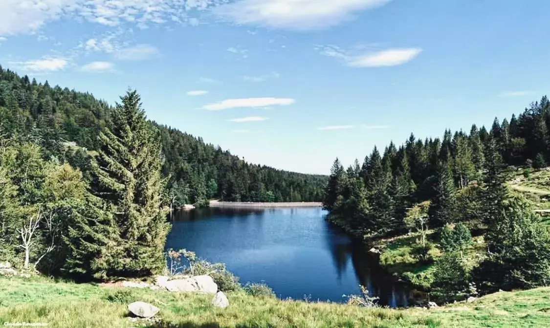 Natural landscape in La Madeleine