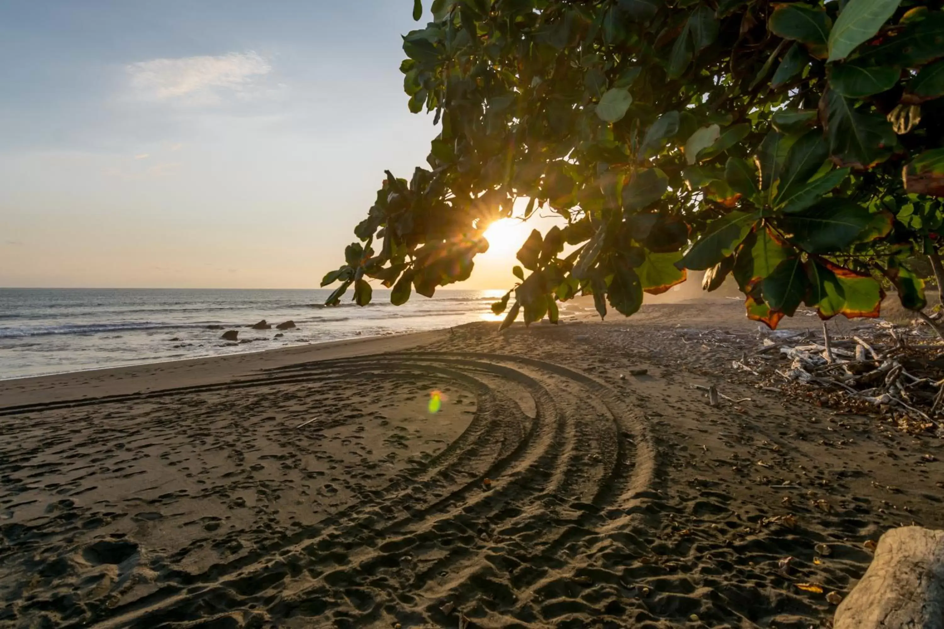 Beach in Hotel Terraza del Pacifico