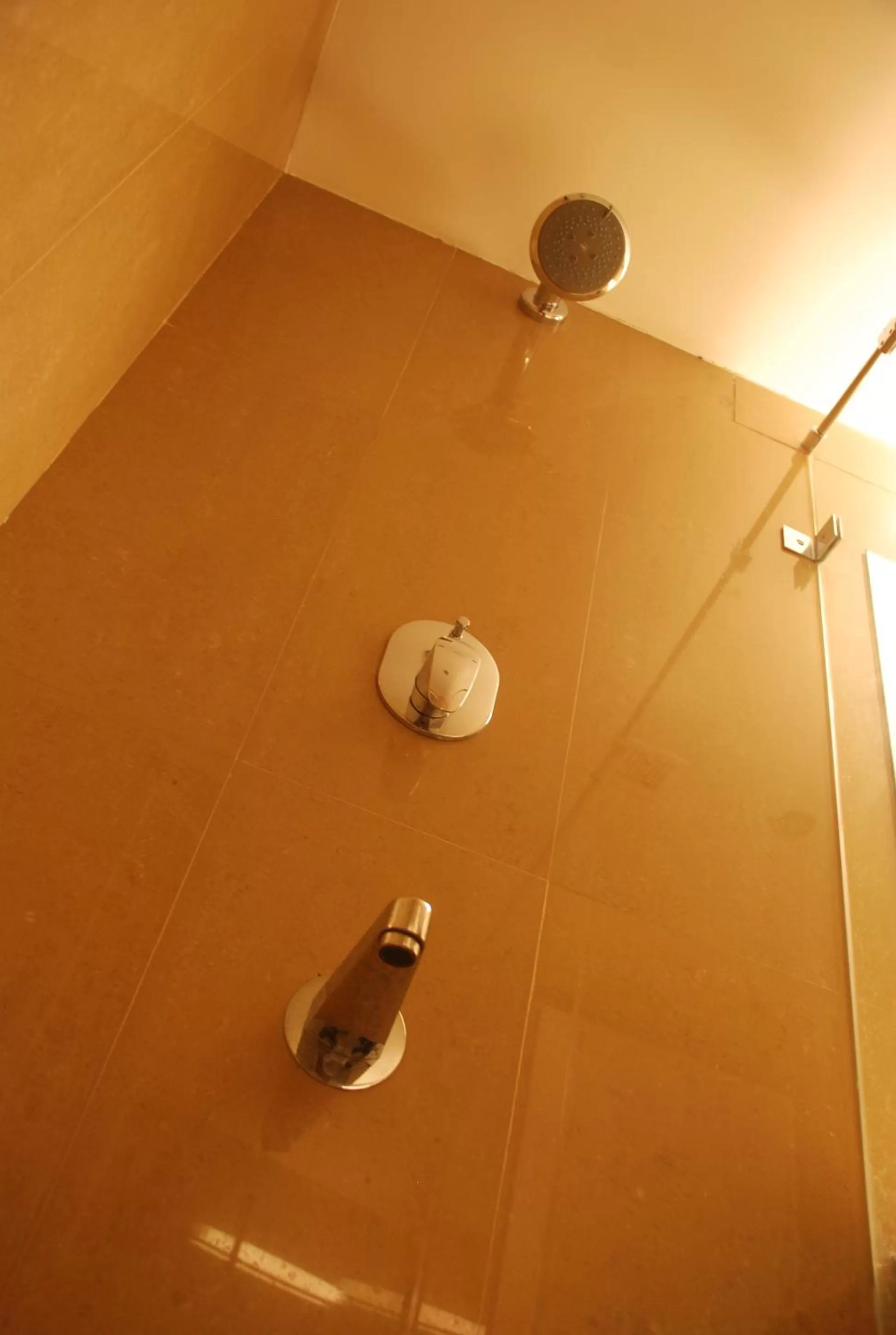 Shower in PLA Krishna Inn