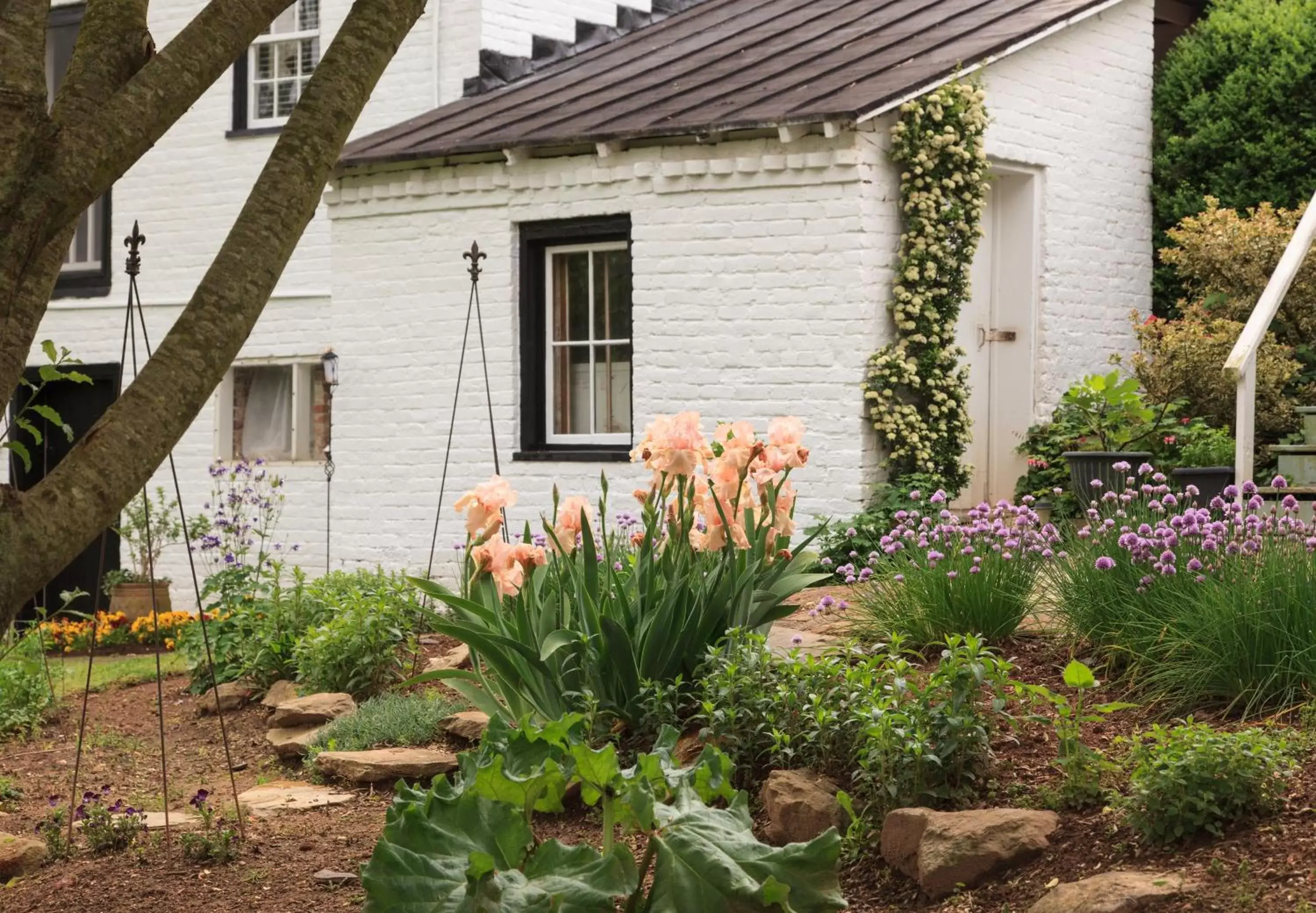 Garden, Property Building in The Inn & Tavern at Meander