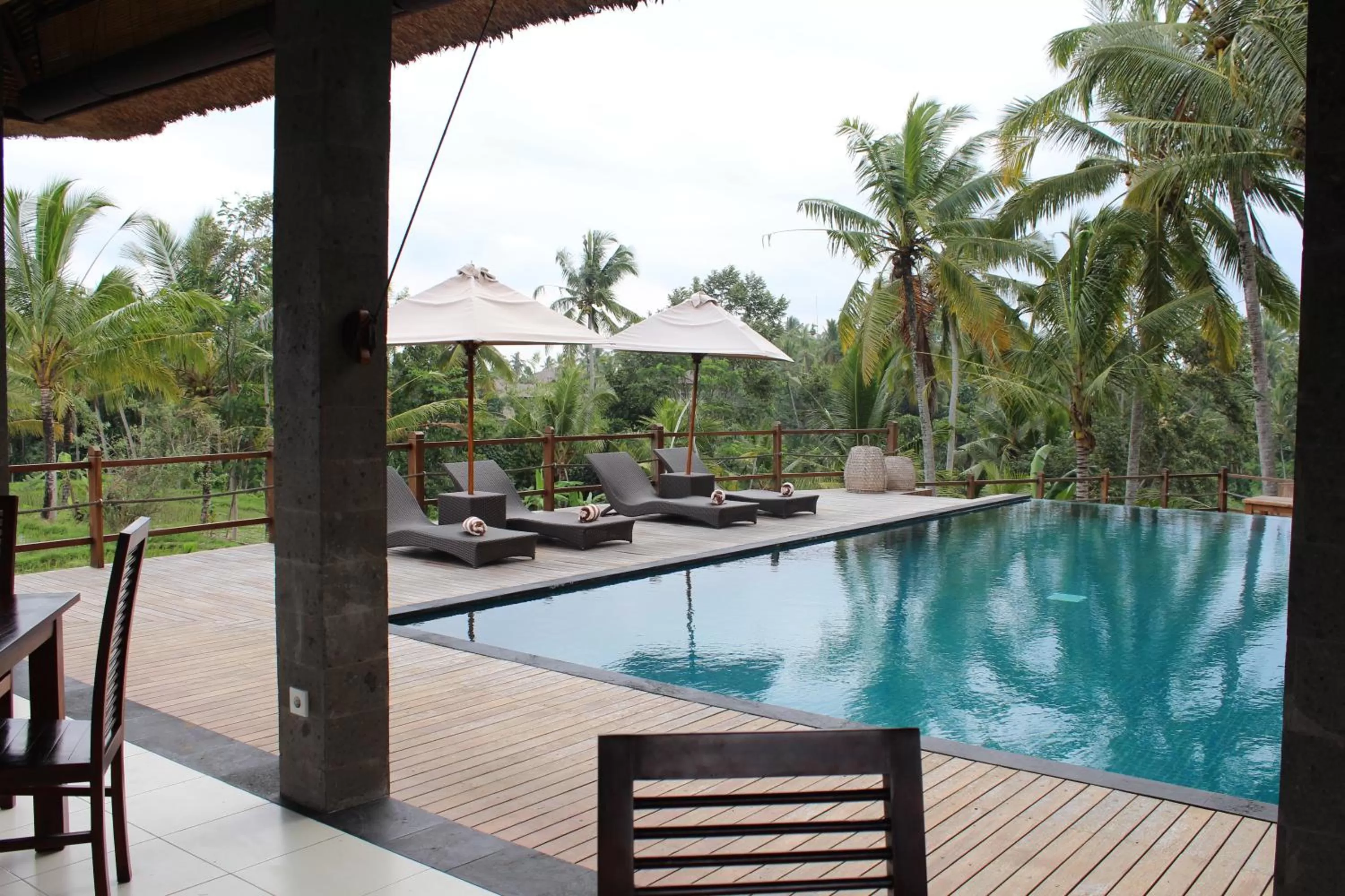 Swimming pool in Manyi Village Ubud