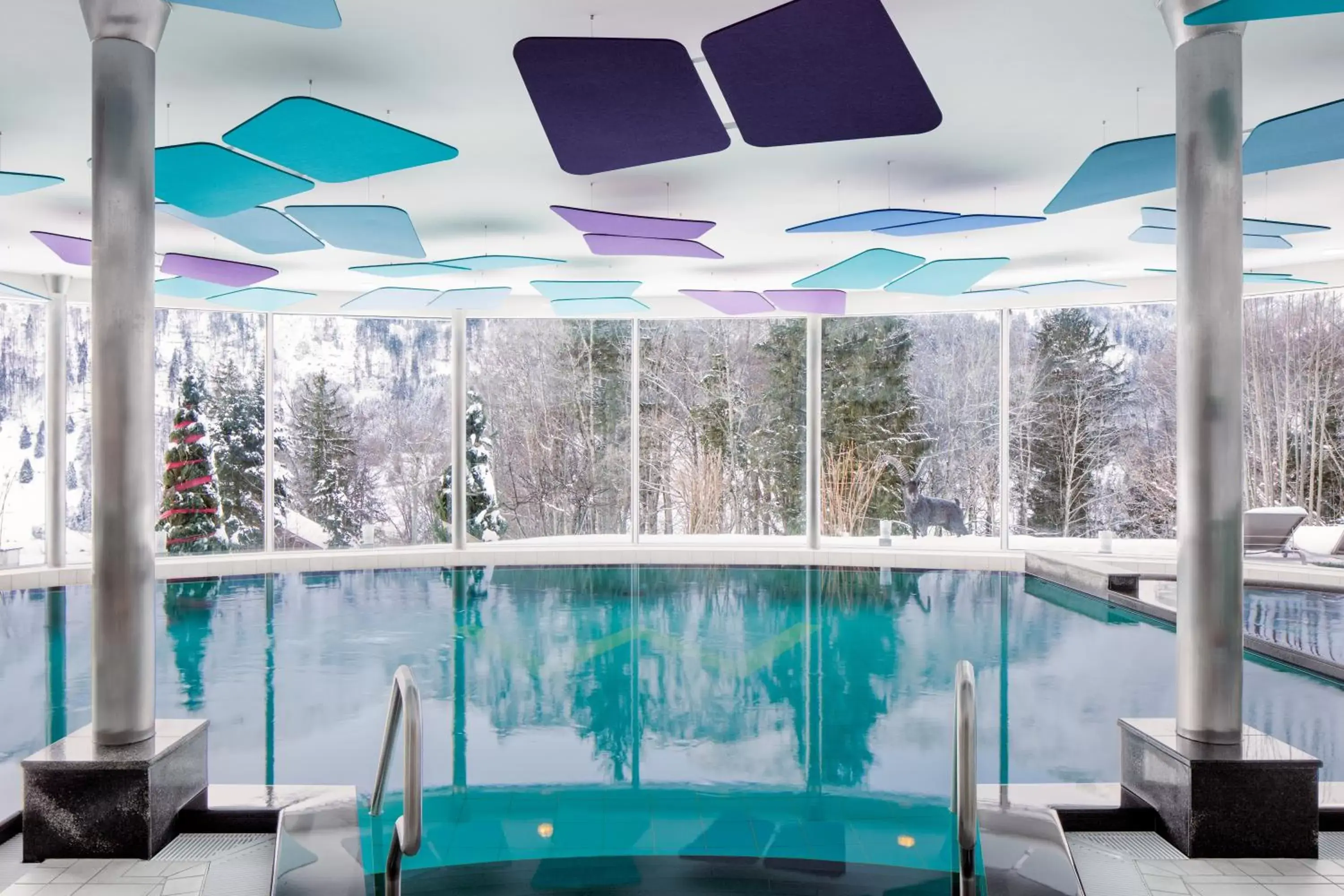 Hot Tub, Swimming Pool in Hotel Waldegg - Adults only