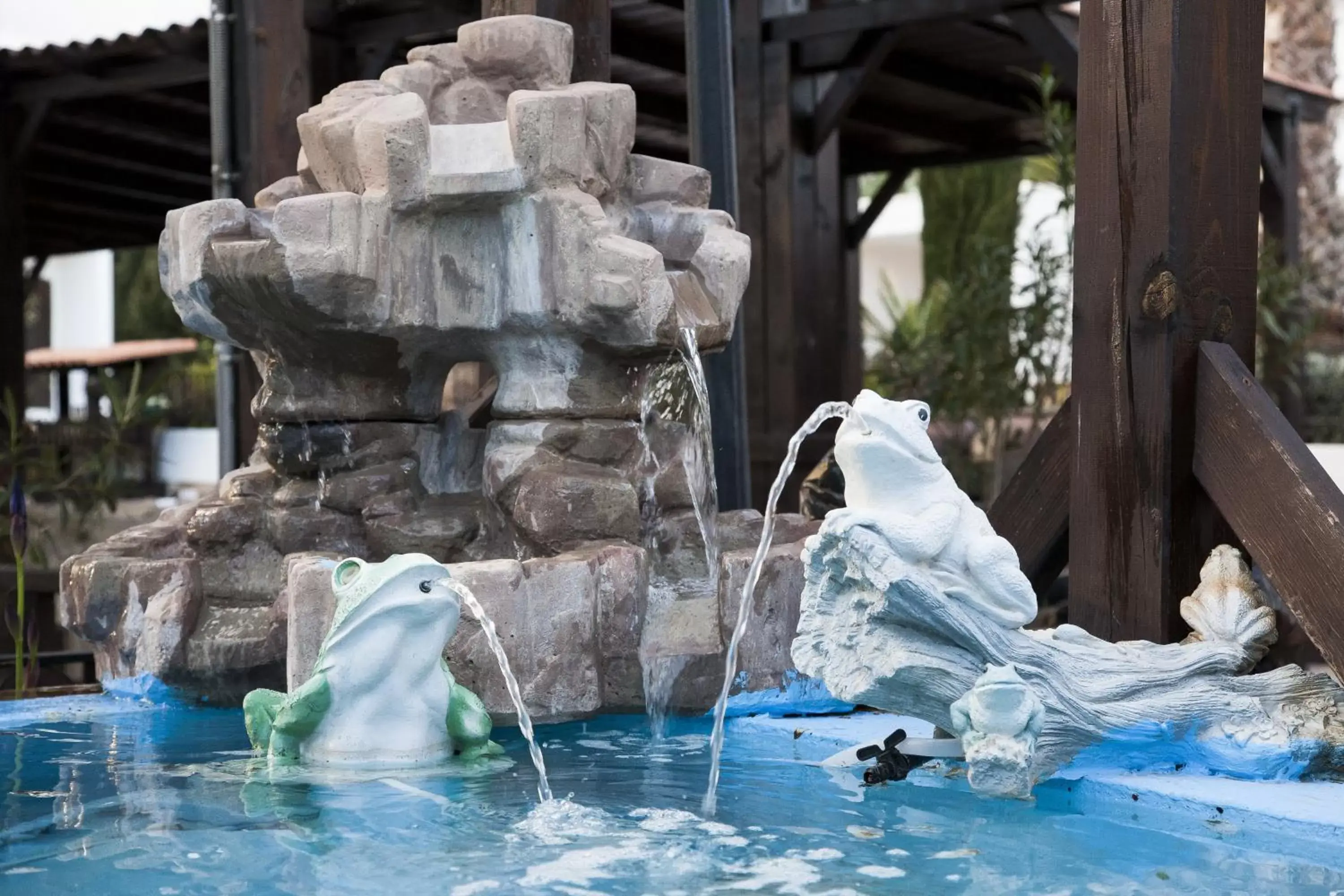 Decorative detail, Swimming Pool in Hotel La Carreta