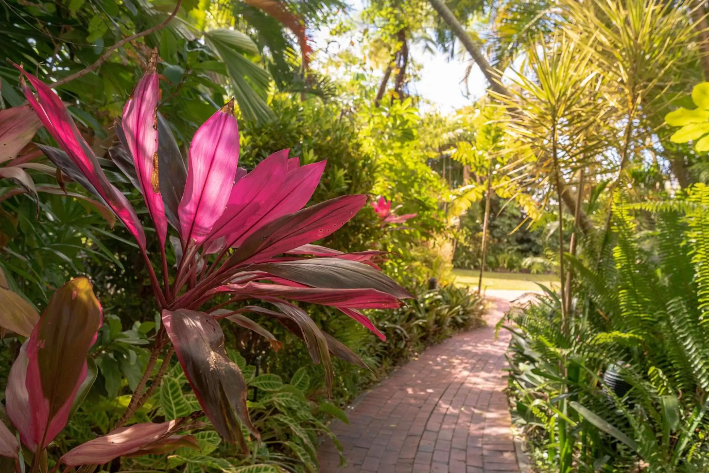Property building, Garden in Hilton Cairns