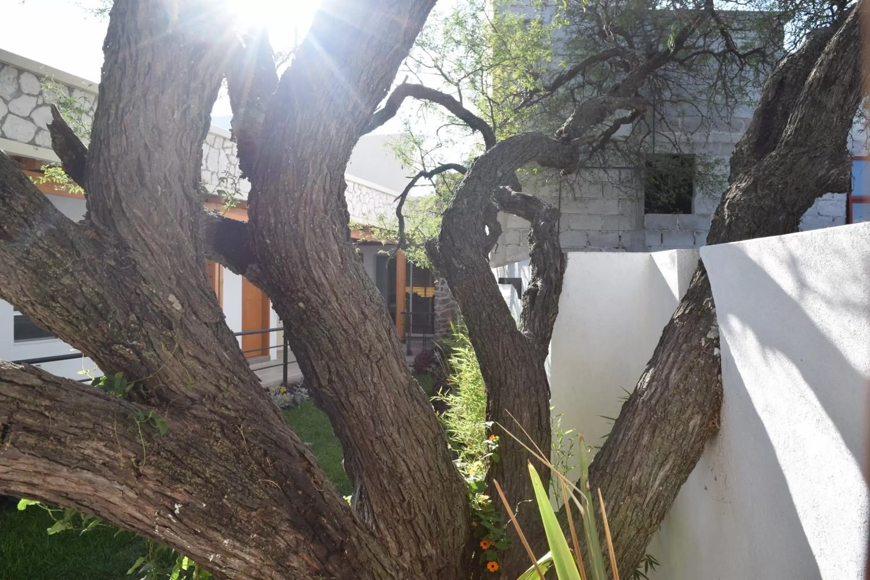 Garden view in Hotel la Cuesta Toscana