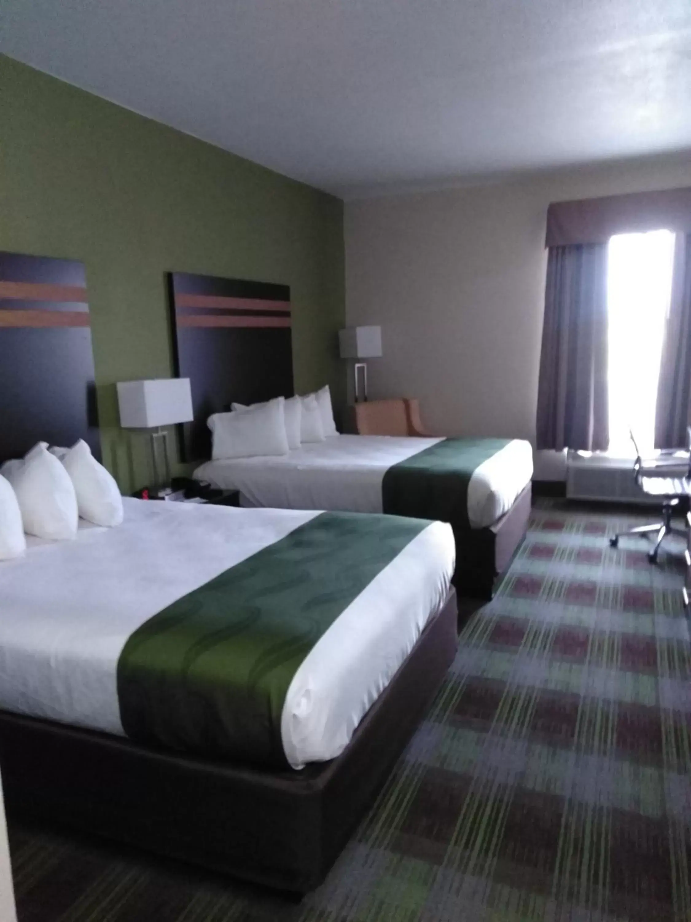 Photo of the whole room, Bed in Quality Inn & Suites