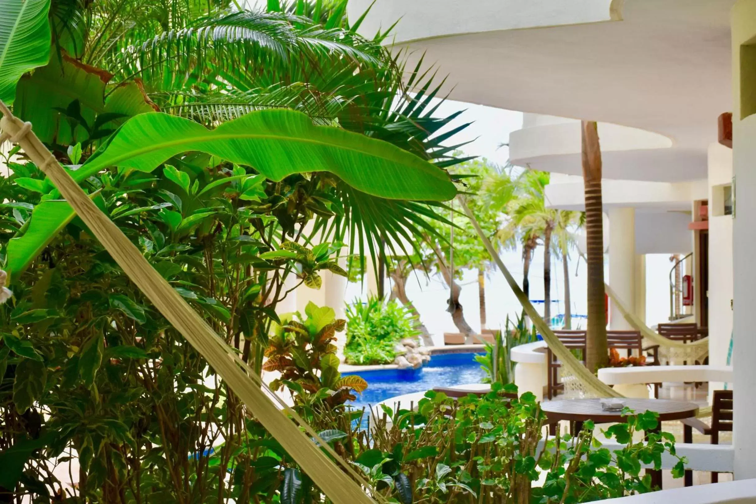 Balcony/Terrace, Swimming Pool in Playa Palms Beach Hotel