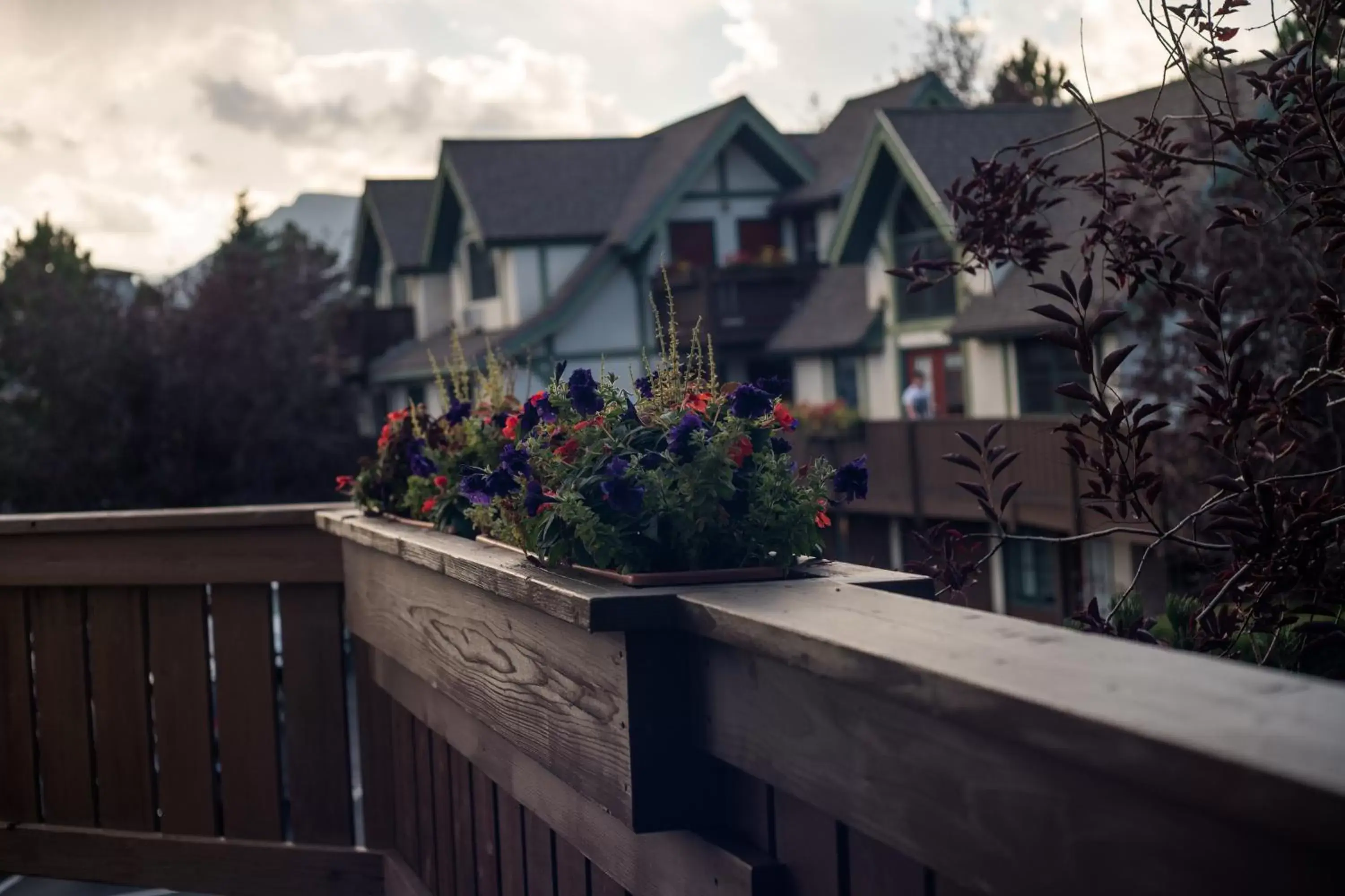 Property building in Appenzell Inn Property building in Appenzell Inn