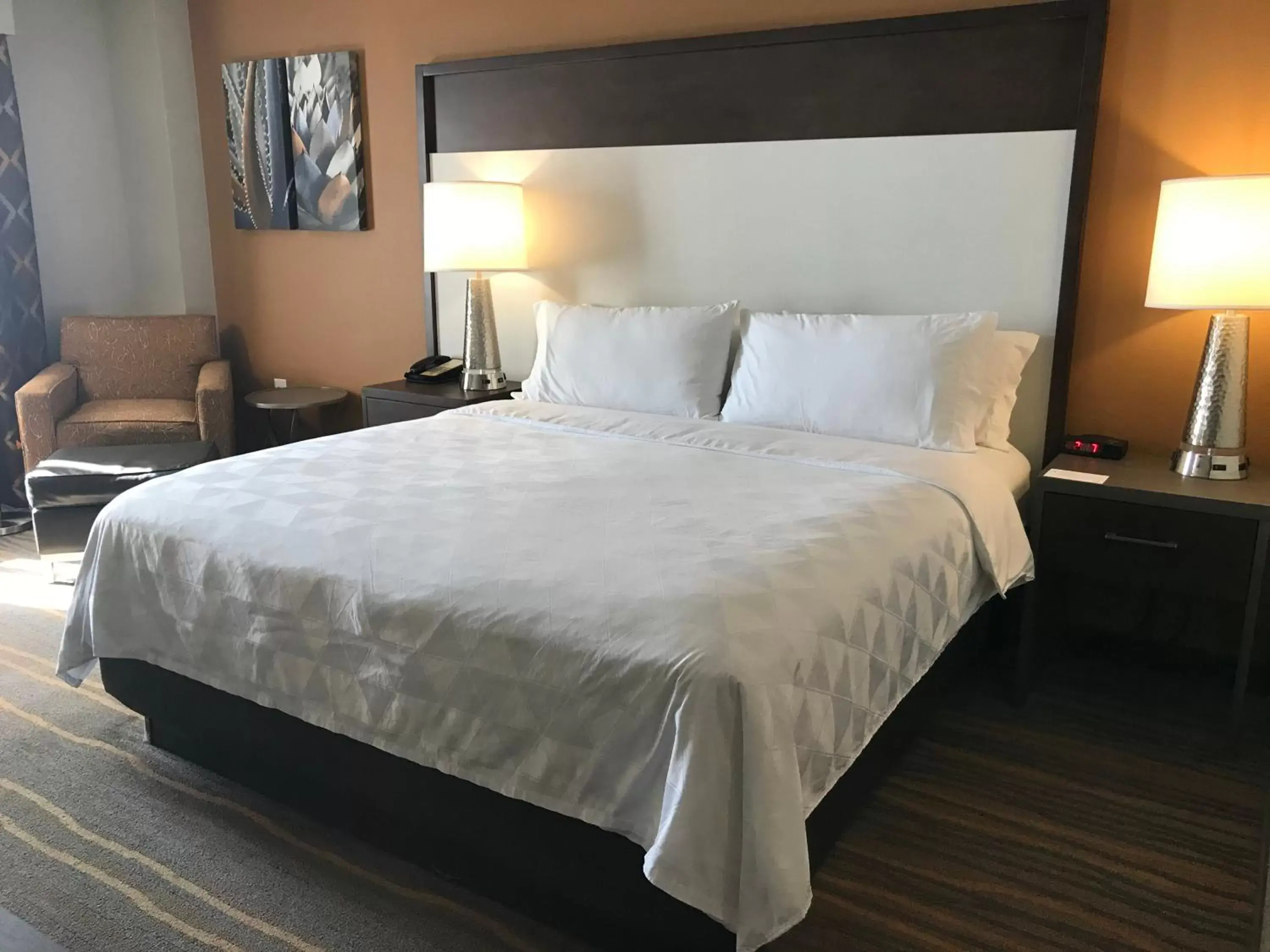 Bedroom, Bed in Holiday Inn Hotel and Suites Albuquerque - North Interstate 25, an IHG Hotel