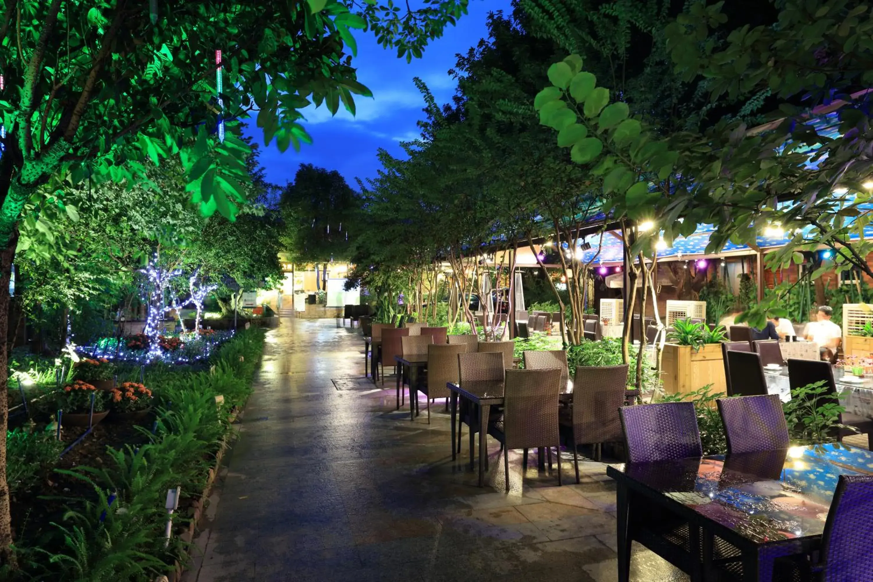 Garden, Restaurant/Places to Eat in Royal Garden Hotel