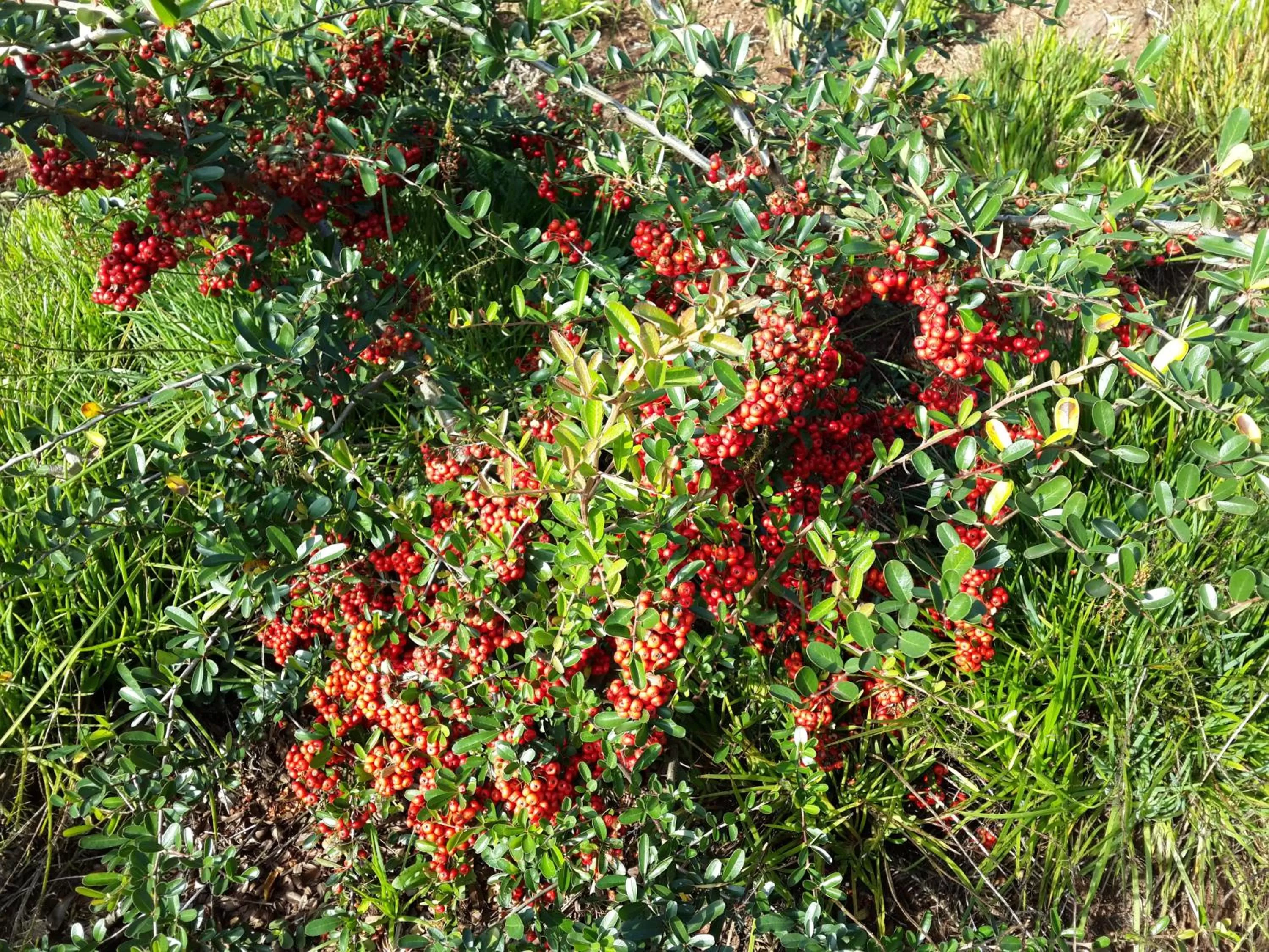 Other in Bina's Haus Pousada, Cafeteria e Atelier