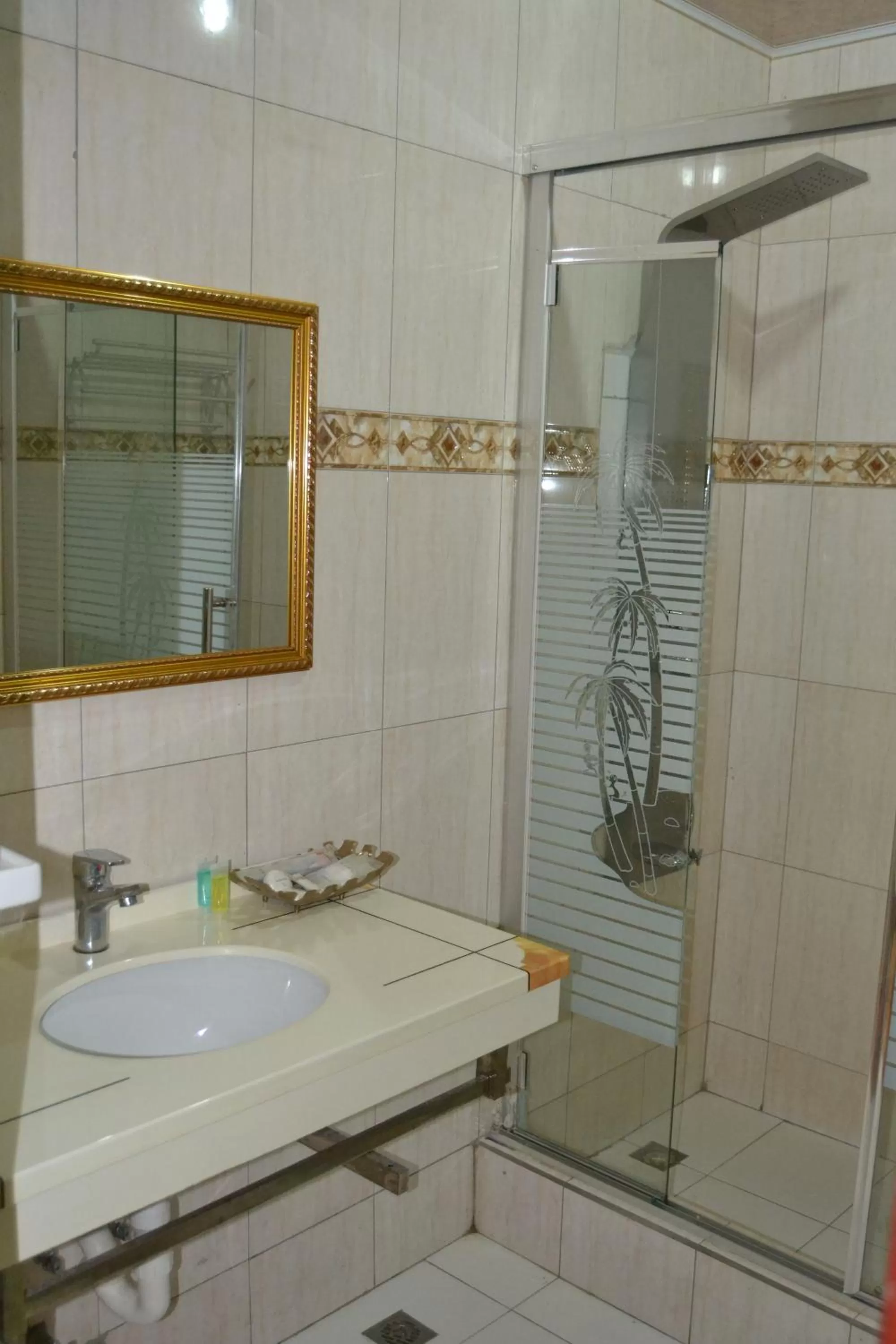 Shower in Metro Hotel Couva