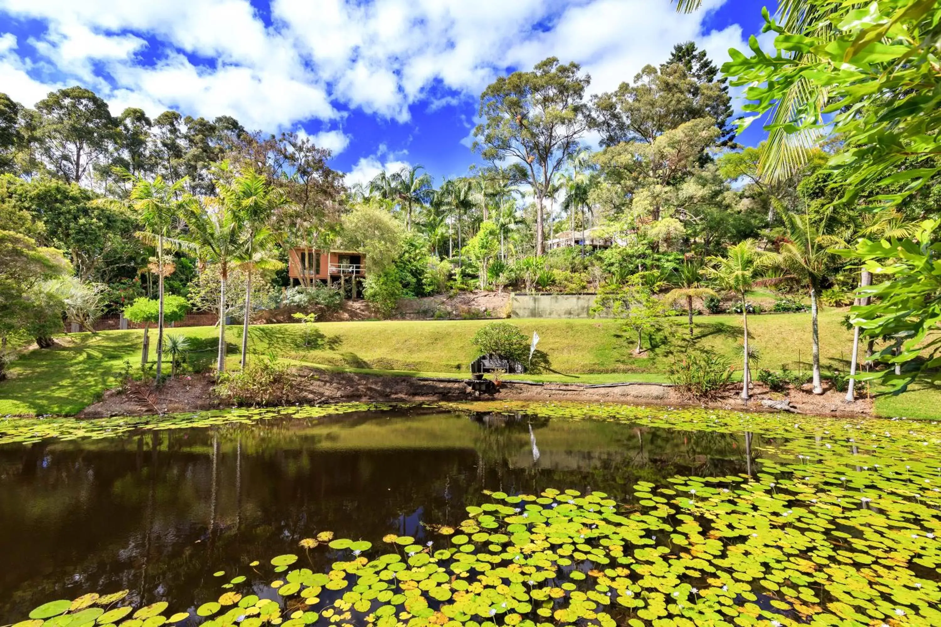 Garden in Sensom Luxury Boutique Bed and Breakfast