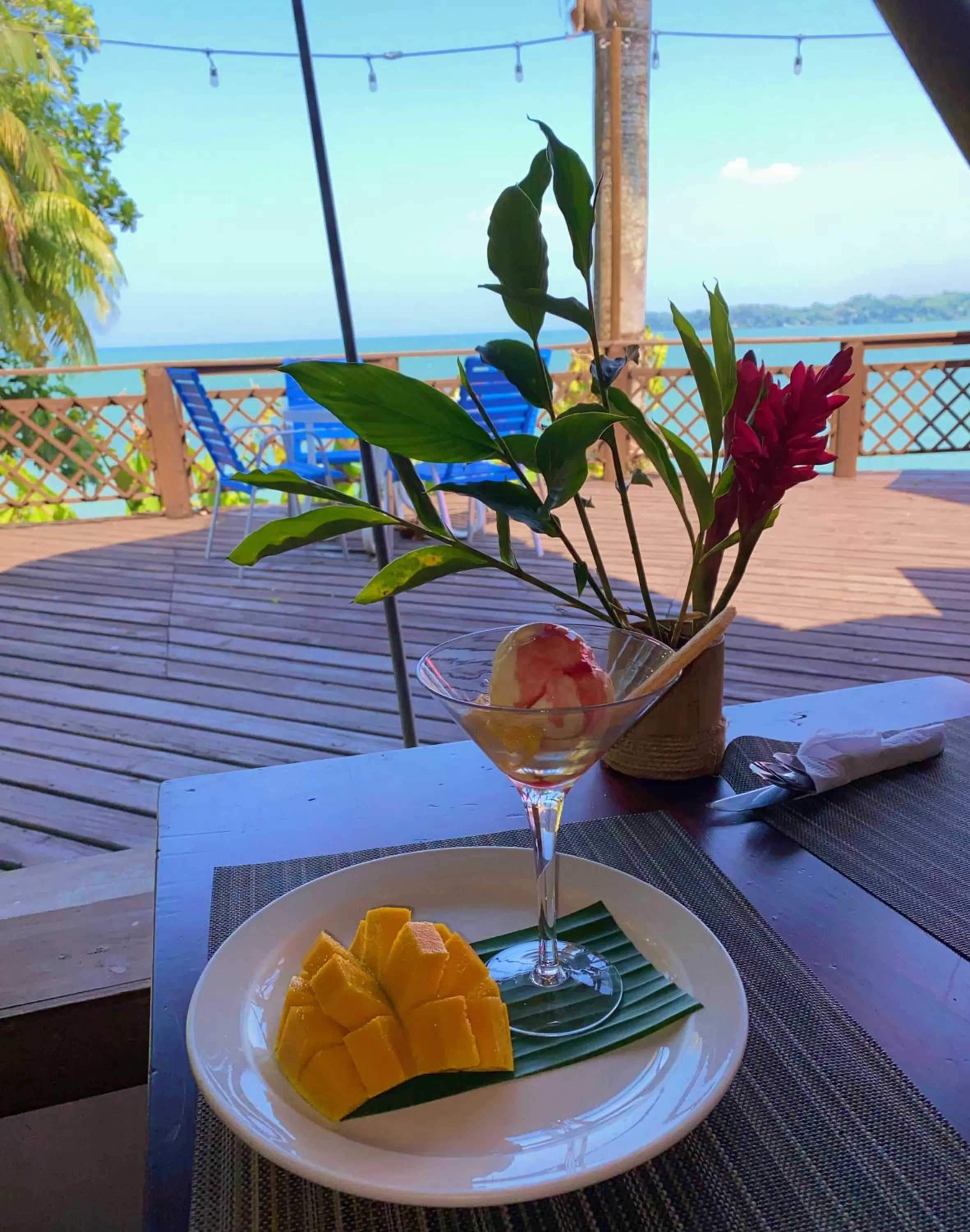 Property building in Villa Caribe