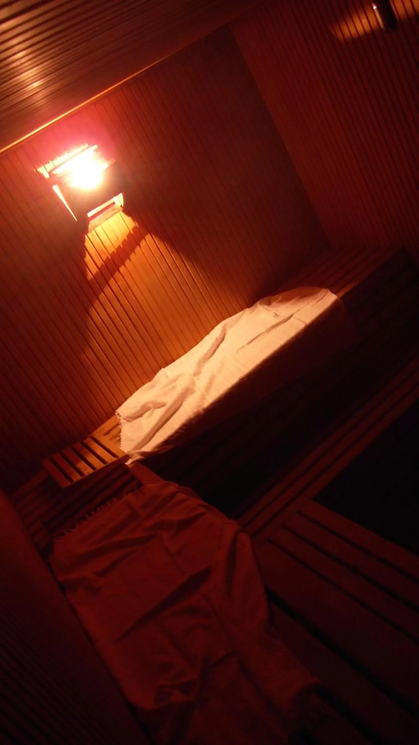 Sauna in Apart Hotel Best