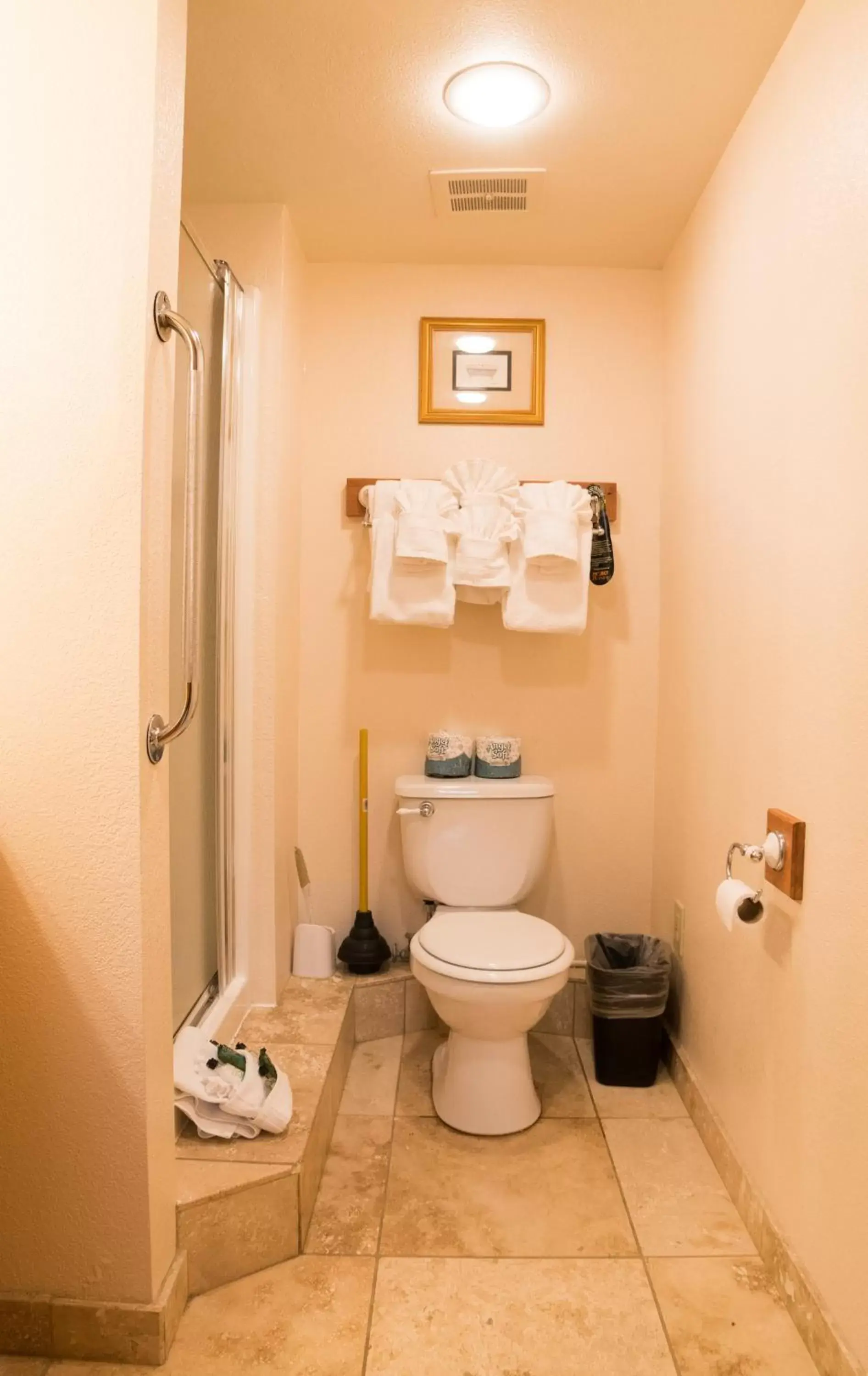 Toilet, Bathroom in Silver Moon Inn