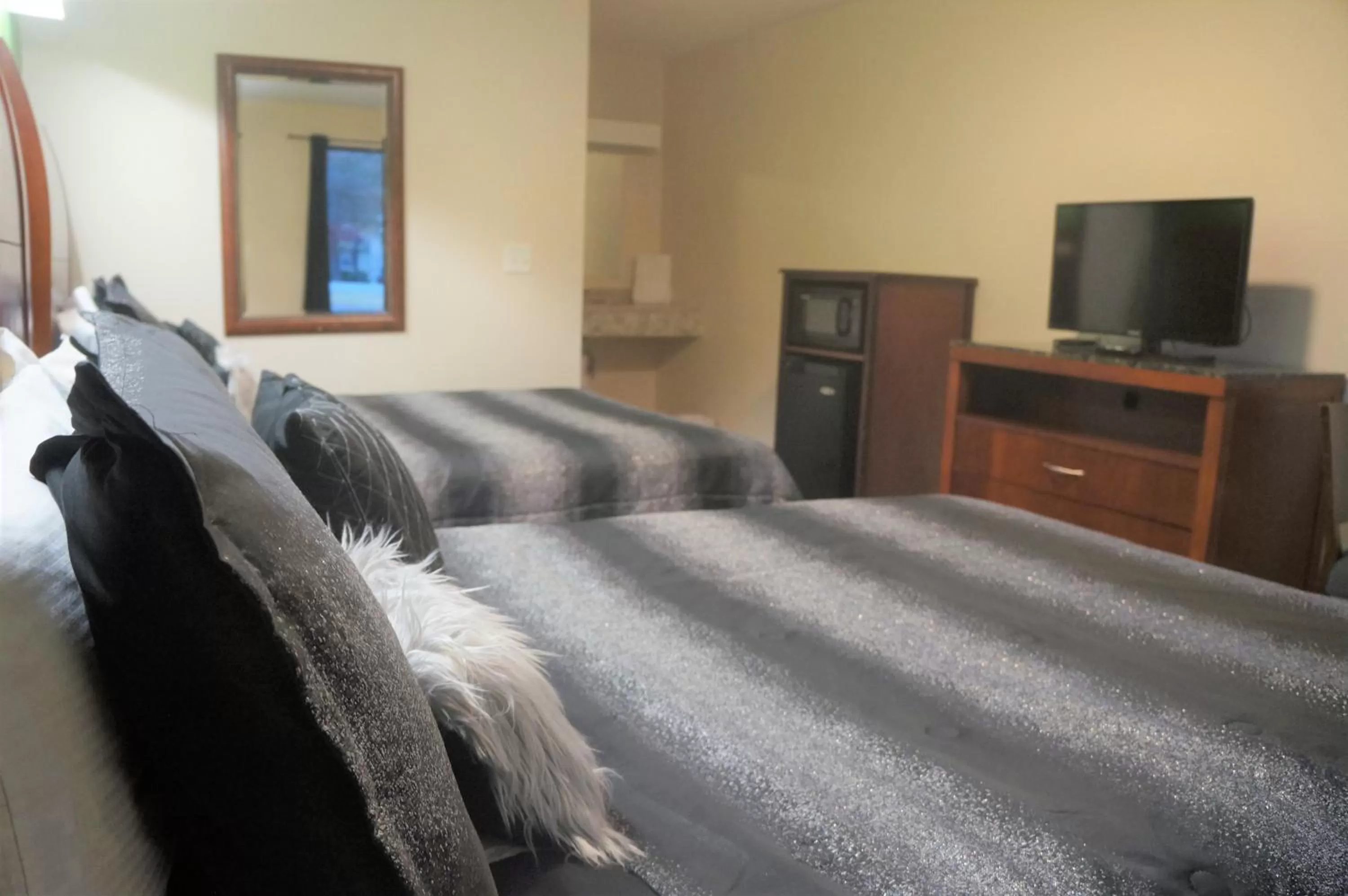 View (from property/room), Bed in Classic Motor Lodge Providence - West Greenwich