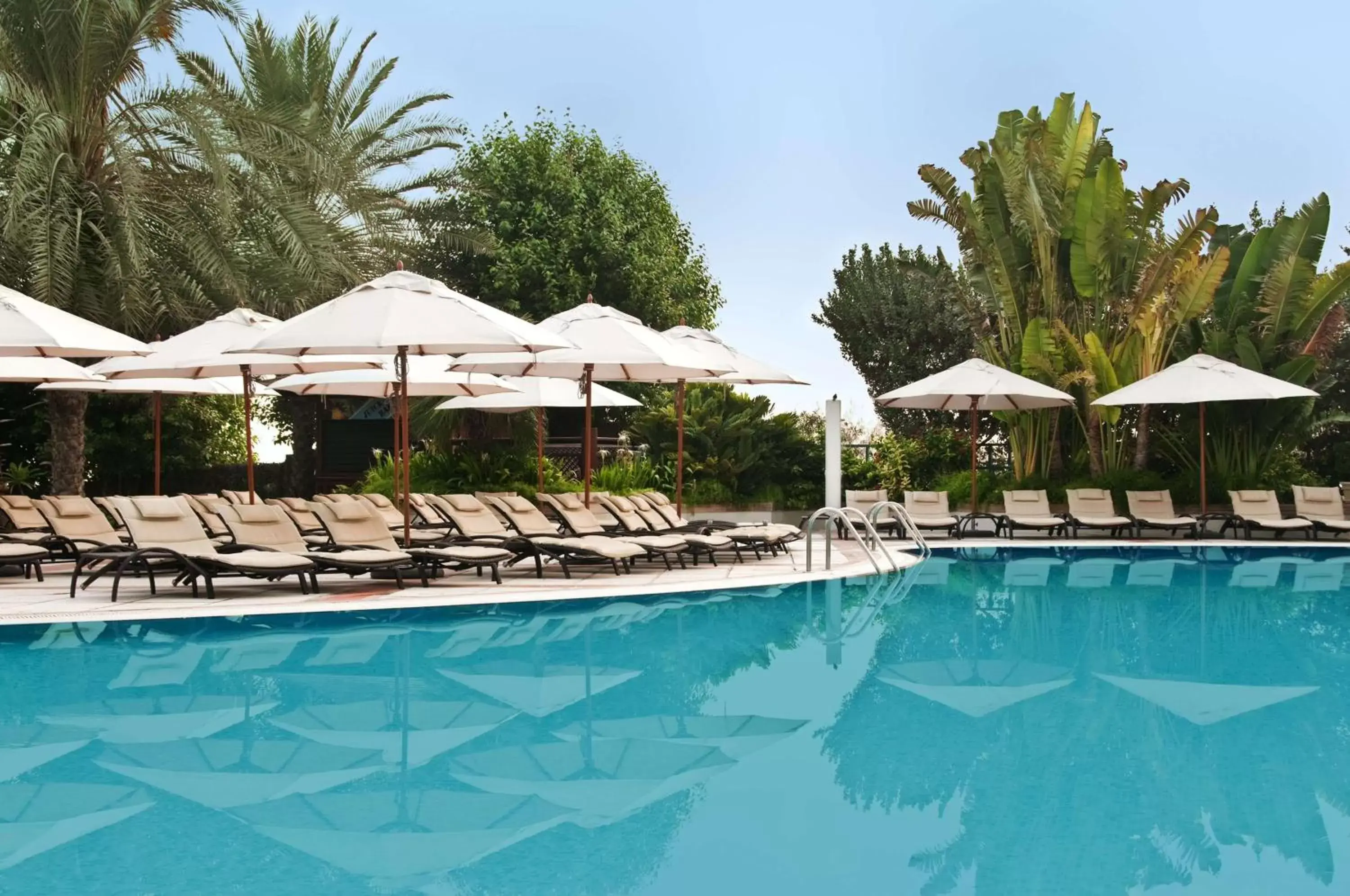 Pool view, Swimming Pool in Hilton Dubai Jumeirah