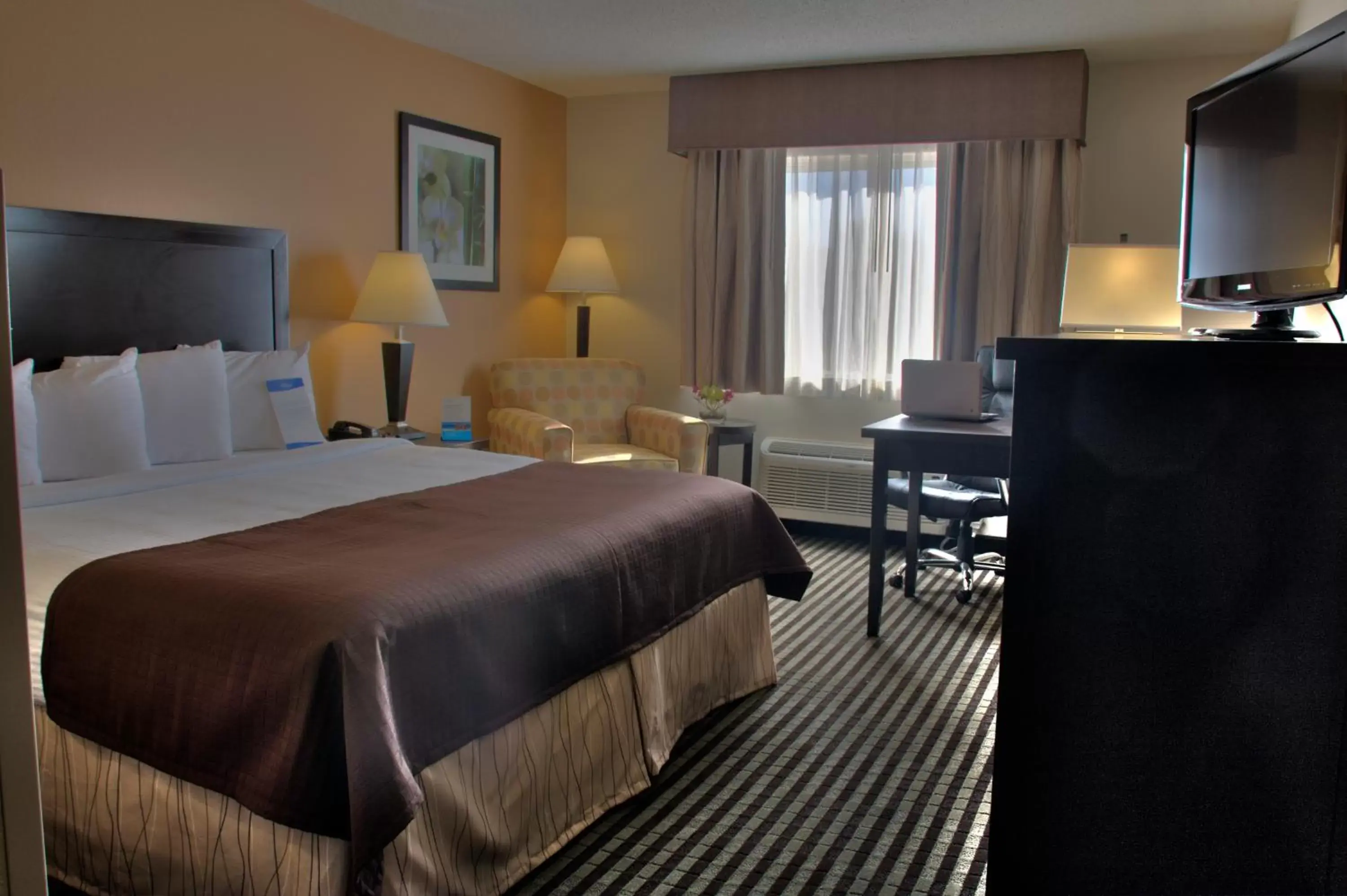 King Room with Roll-In Shower - Mobility/Hearing Accessible - Non-Smoking in Baymont by Wyndham Dallas/ Love Field