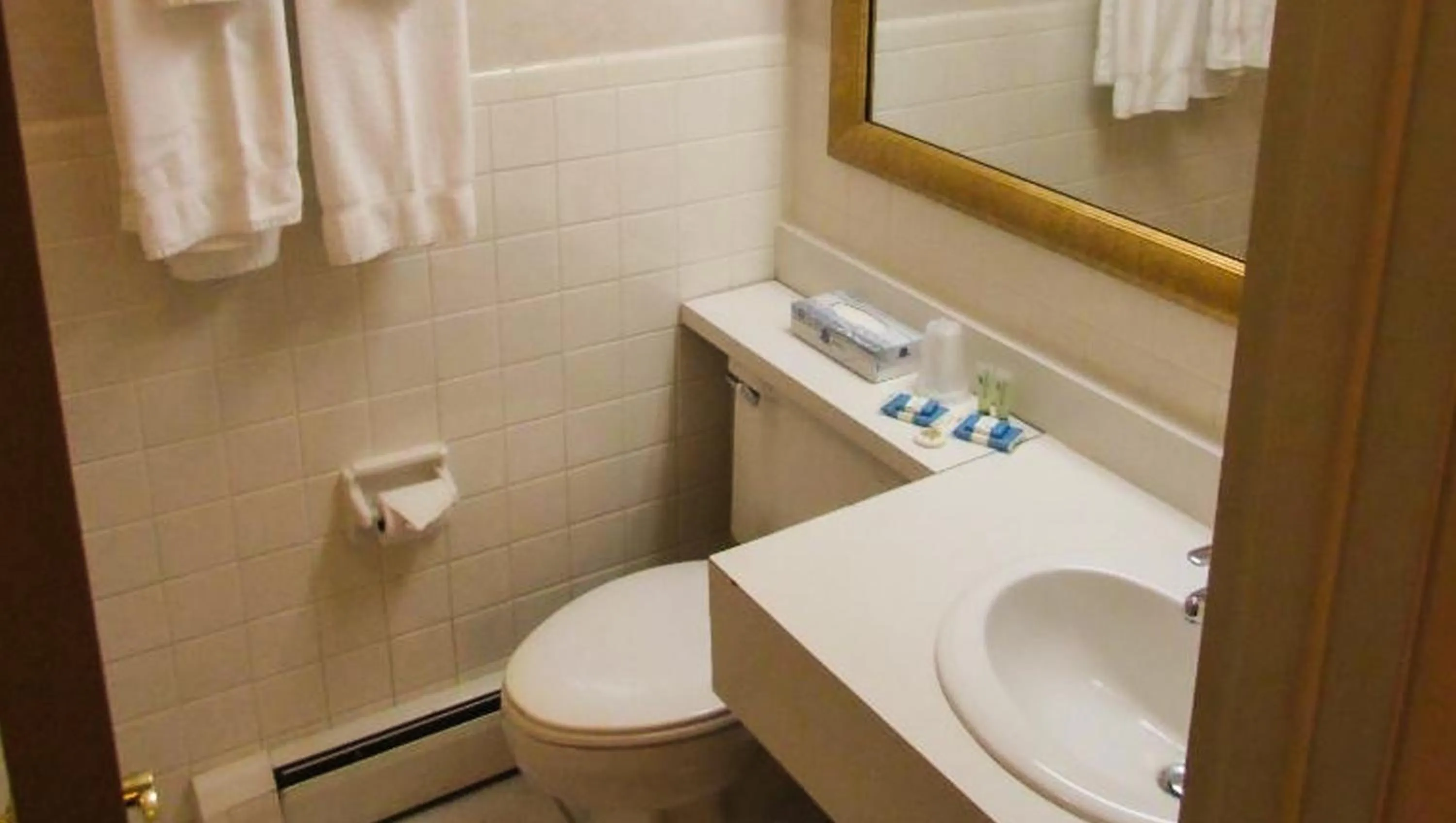 Bathroom in Magnuson Grand Pioneer Inn and Suites