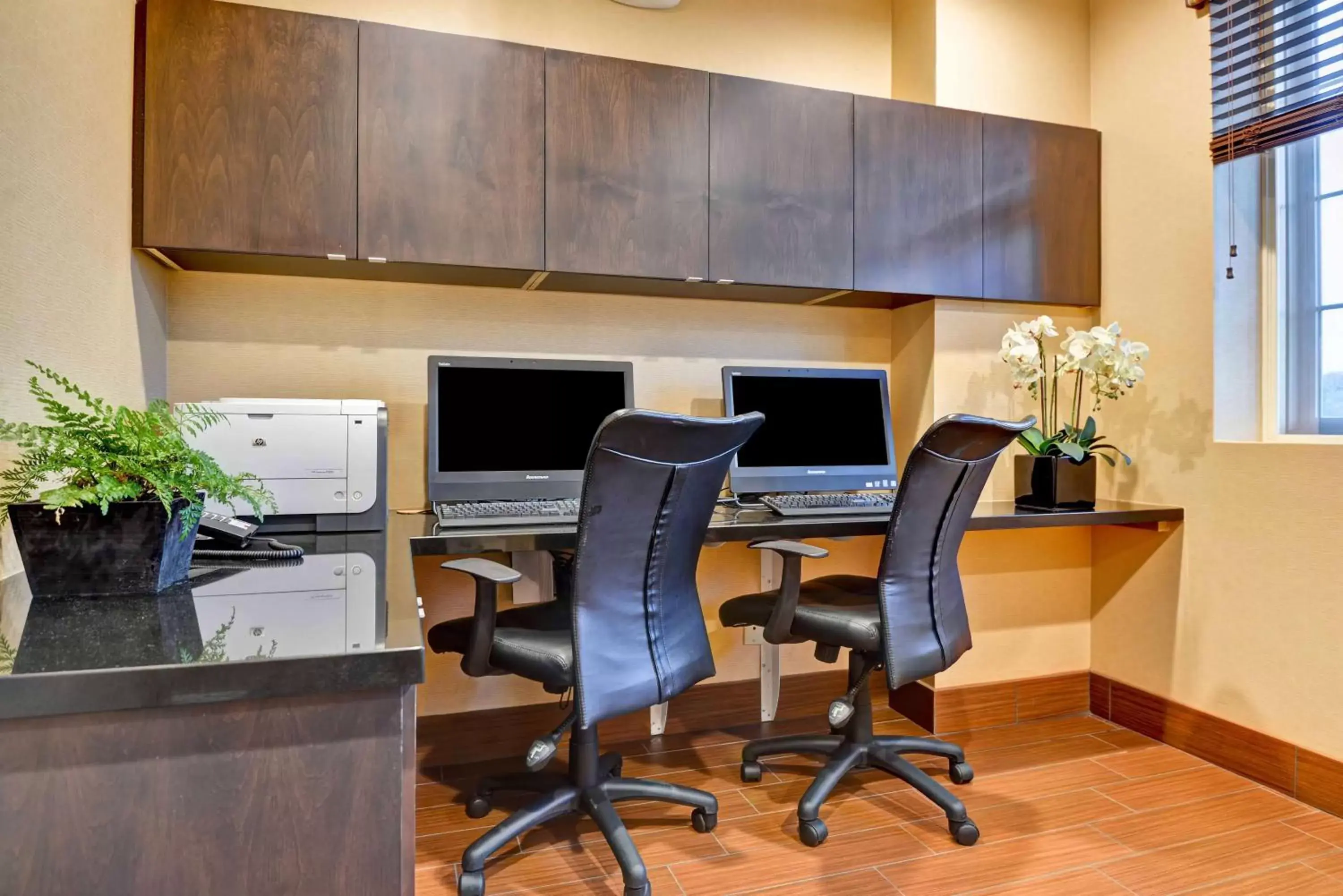 Business facilities in Hampton Inn & Suites San Clemente