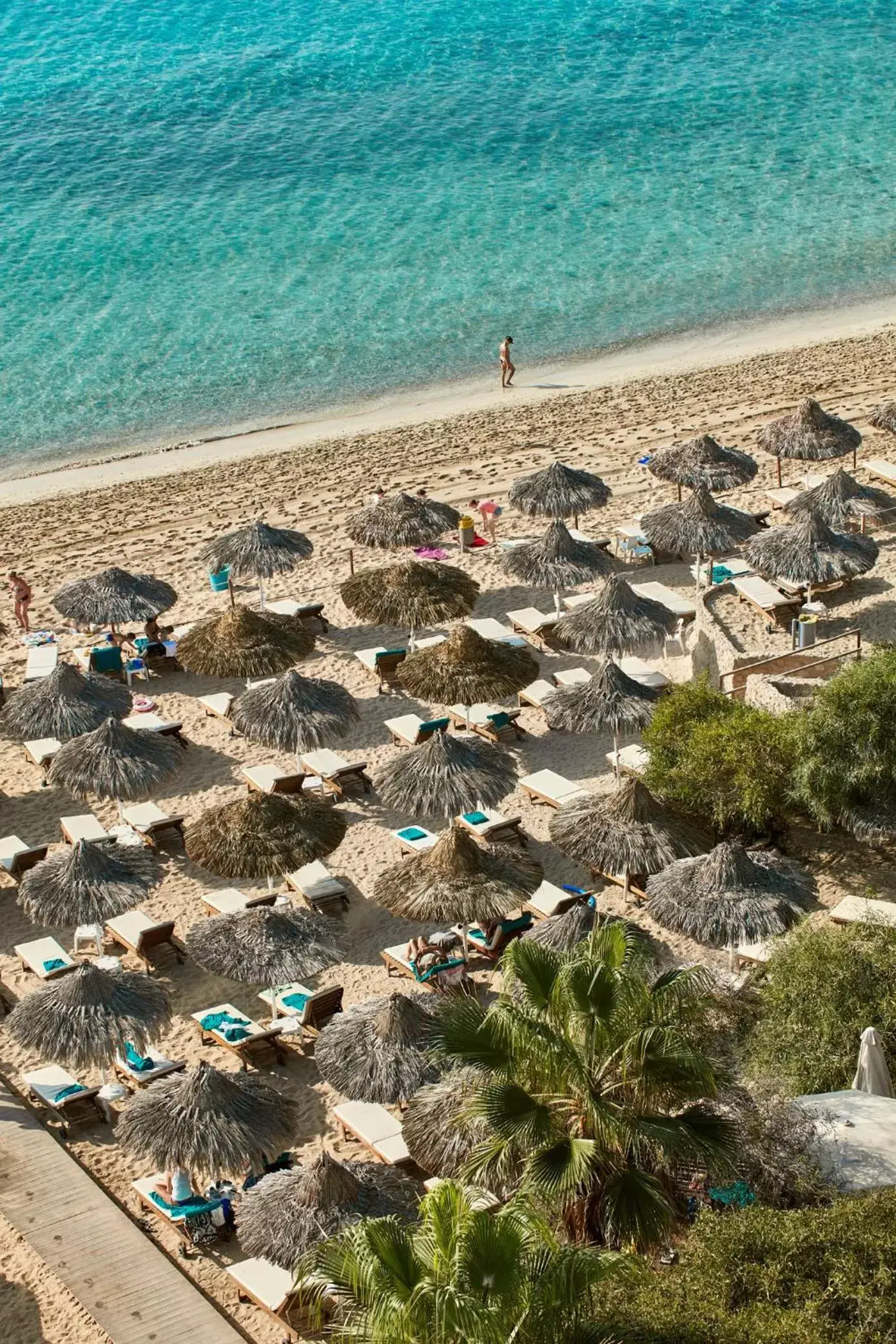 Beach in Grecian Bay