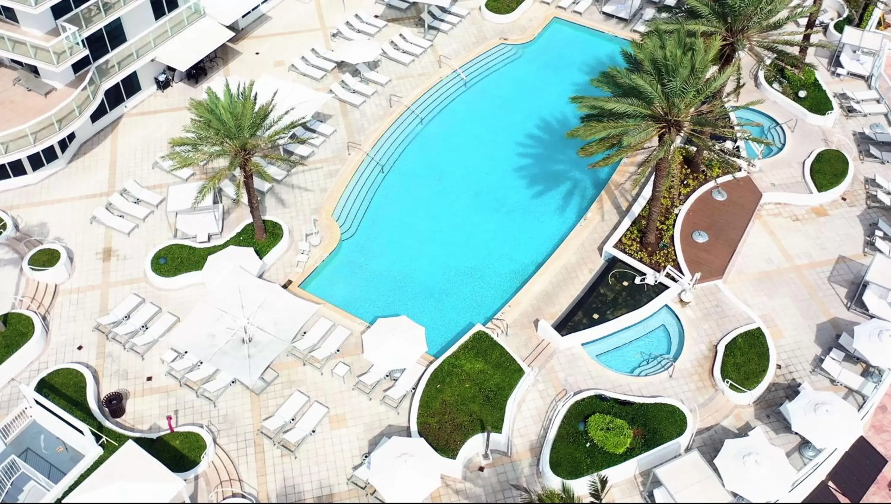 Patio, Pool View in Hilton Fort Lauderdale Beach Resort