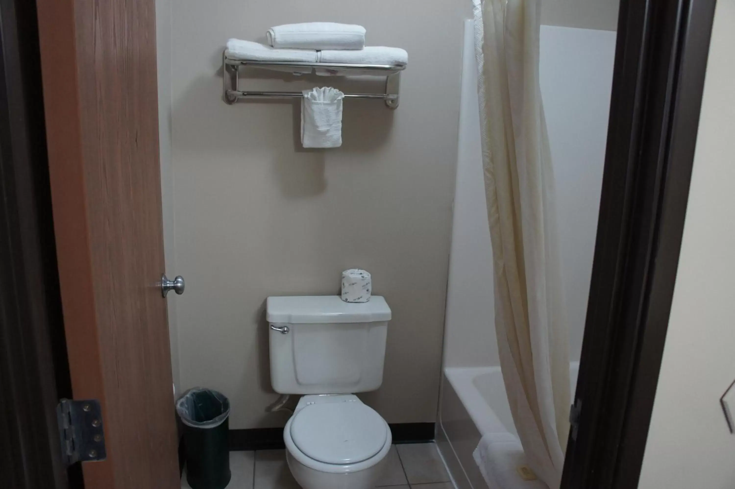 Toilet, Bathroom in Coratel Inn and Suites Maple Grove
