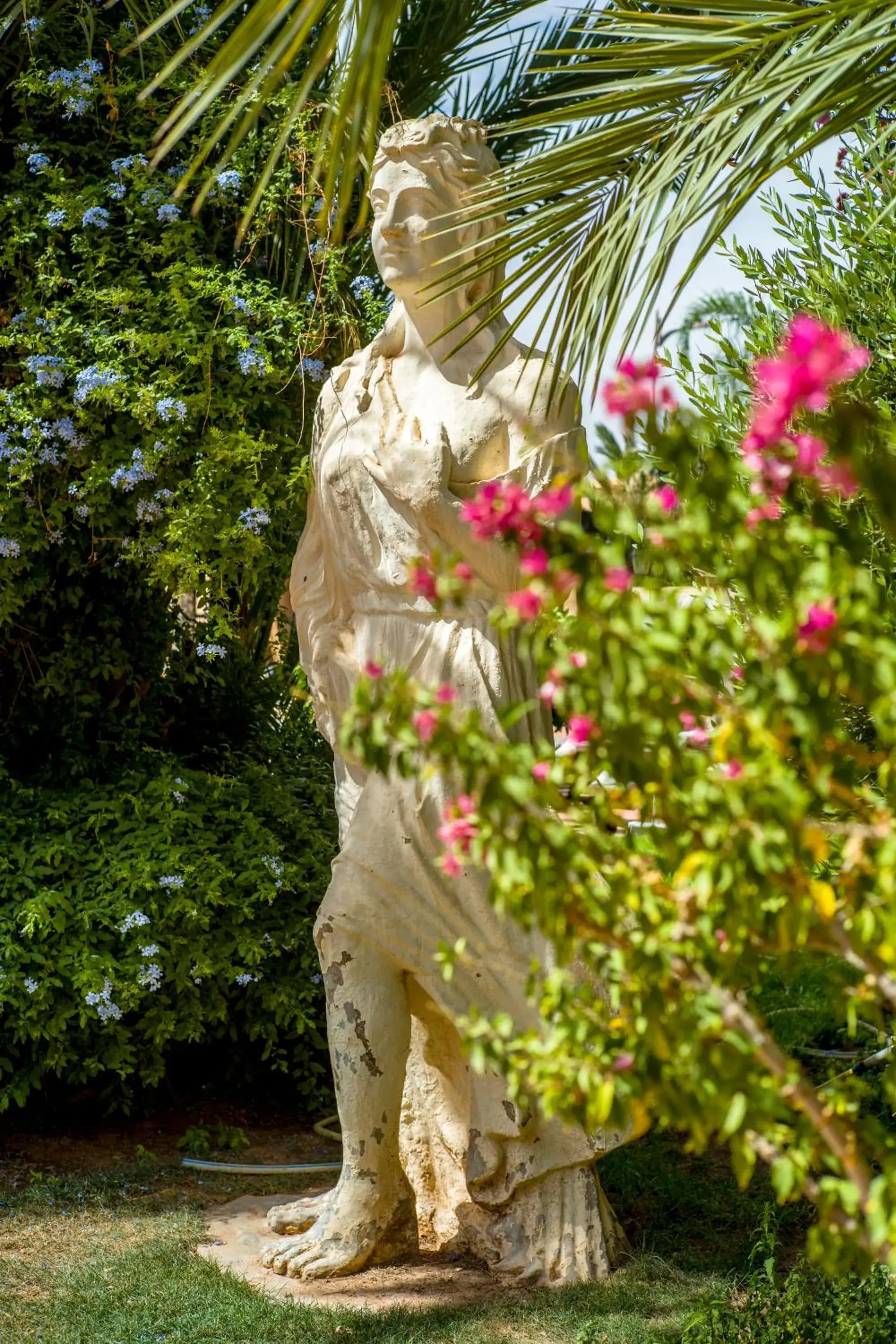 Garden in Berbère Palace