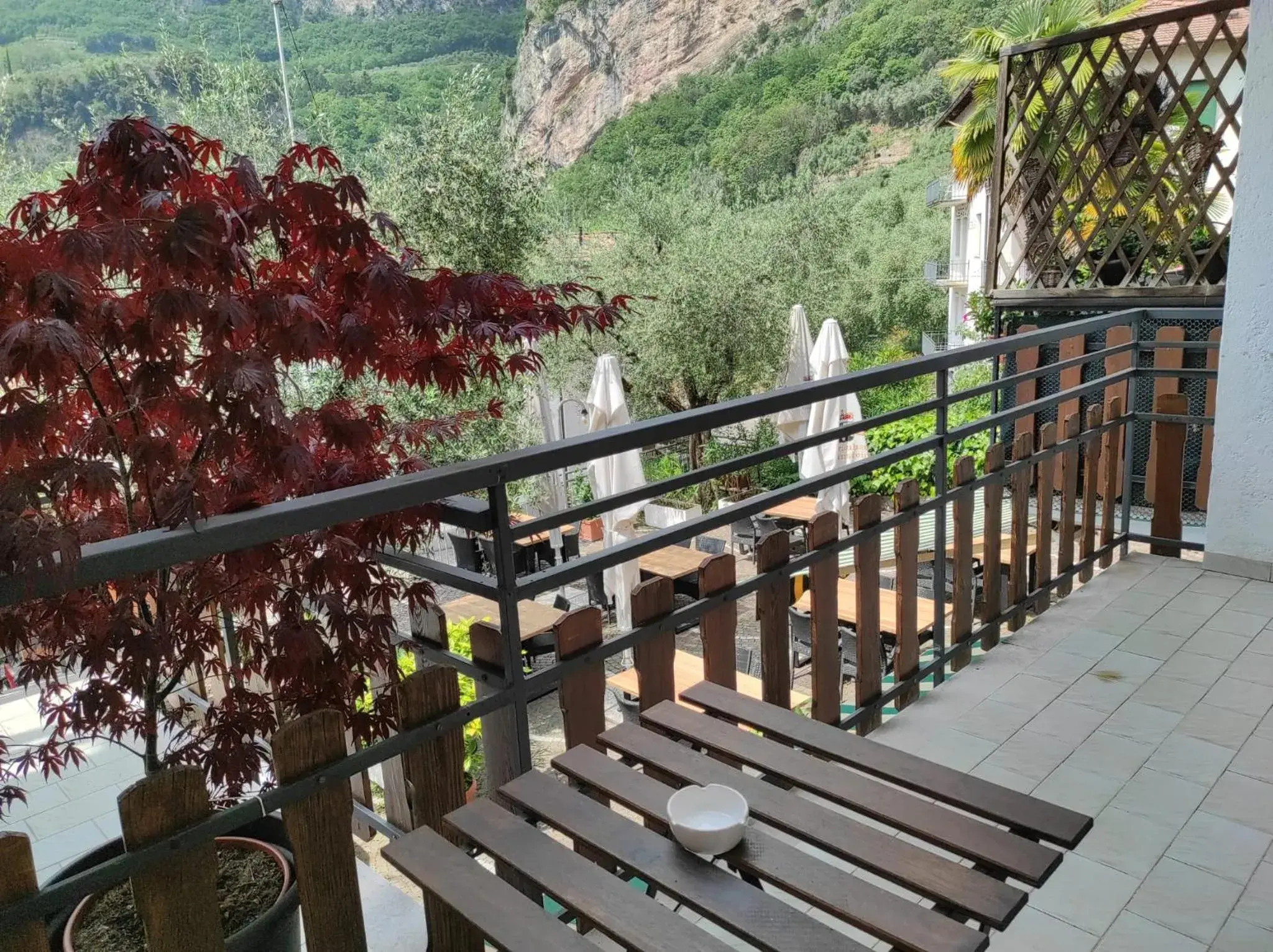 Balcony/Terrace in Albergo Stella D'Italia