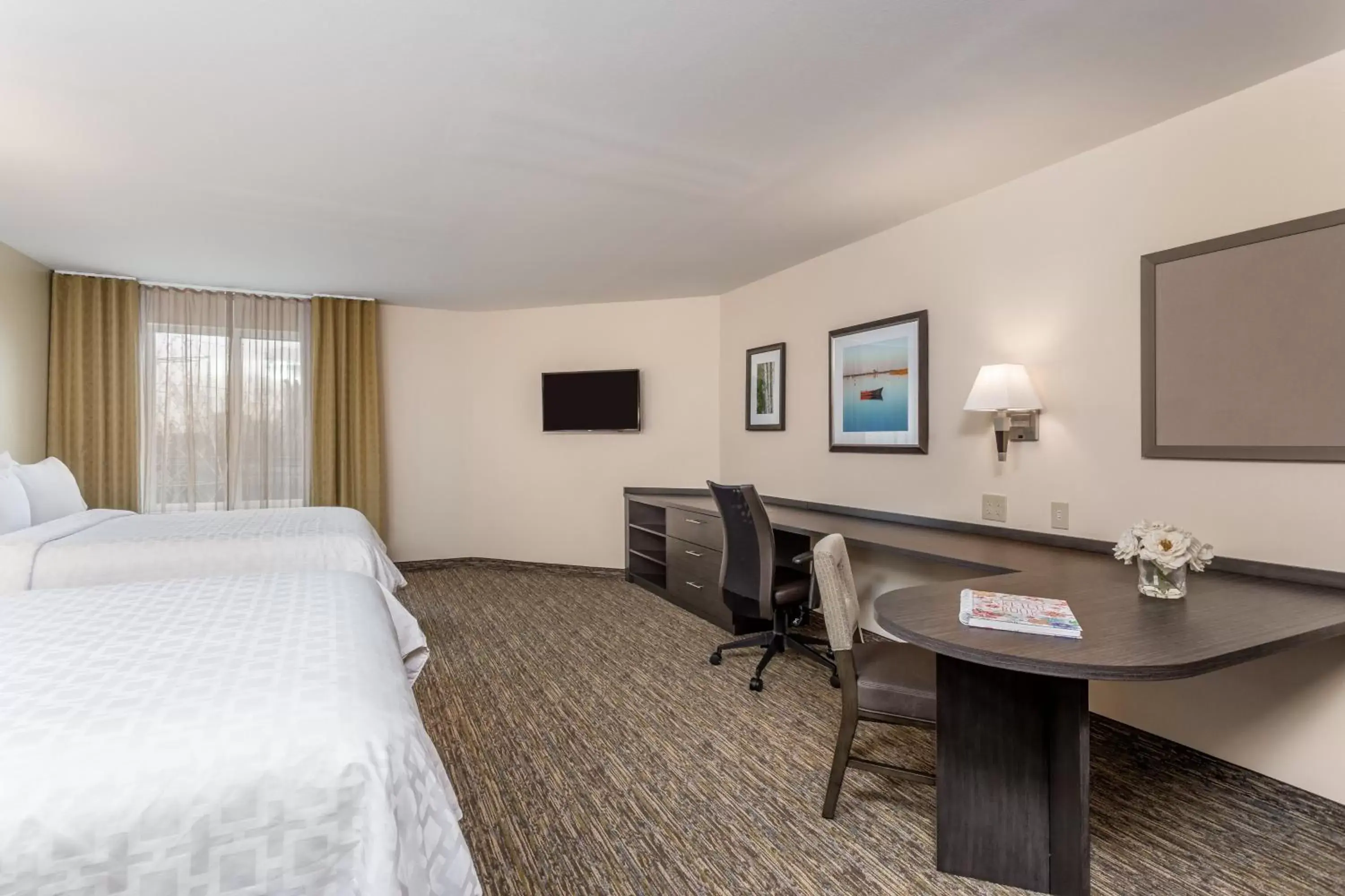 Photo of the whole room, Bed in Candlewood Suites Bensalem - Philadelphia Area by IHG Photo of the whole room, Bed in Candlewood Suites Bensalem - Philadelphia Area by IHG