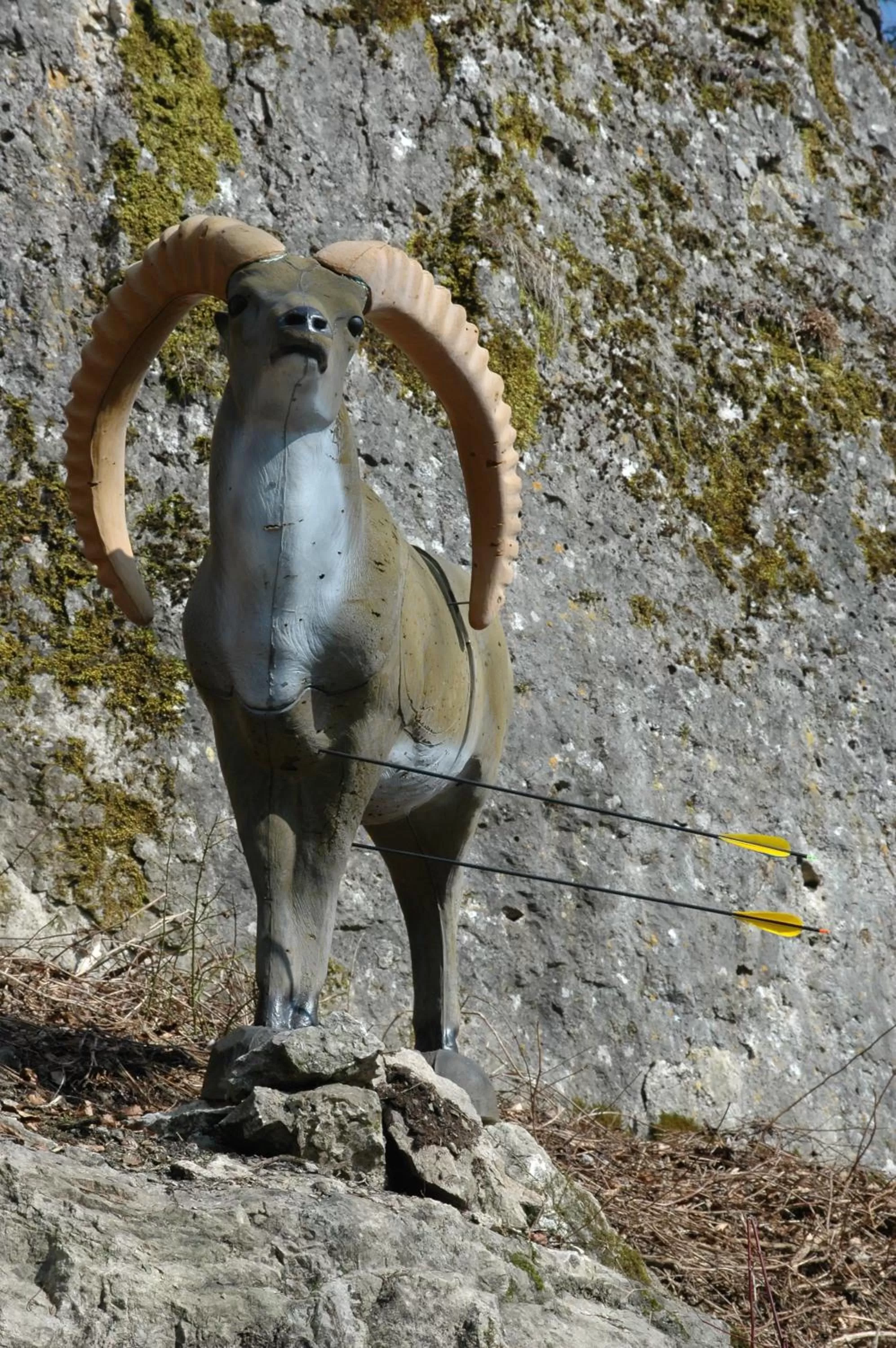 Sports in Gasthof Hotel Reif