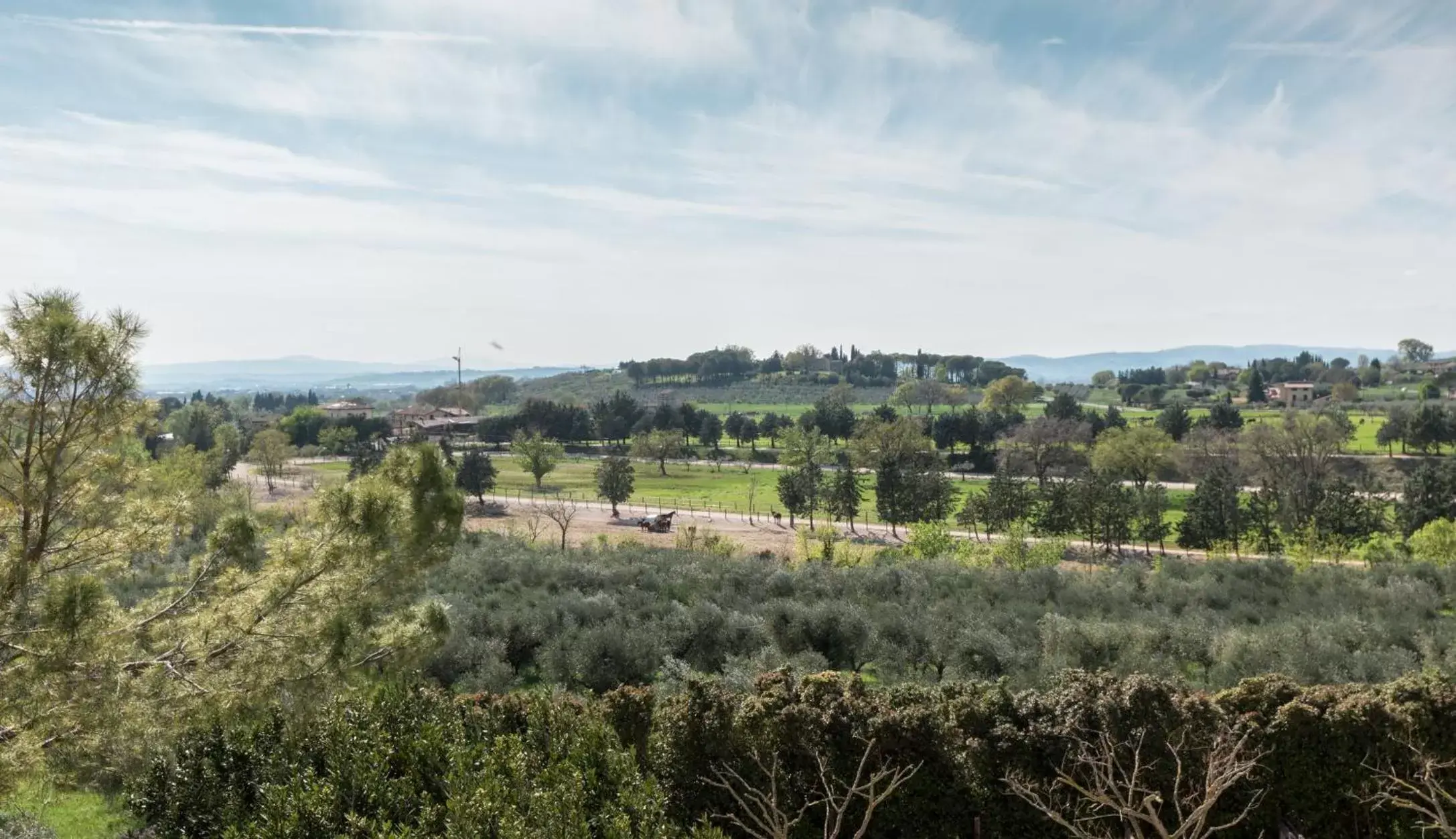 Natural landscape in La Piaggia