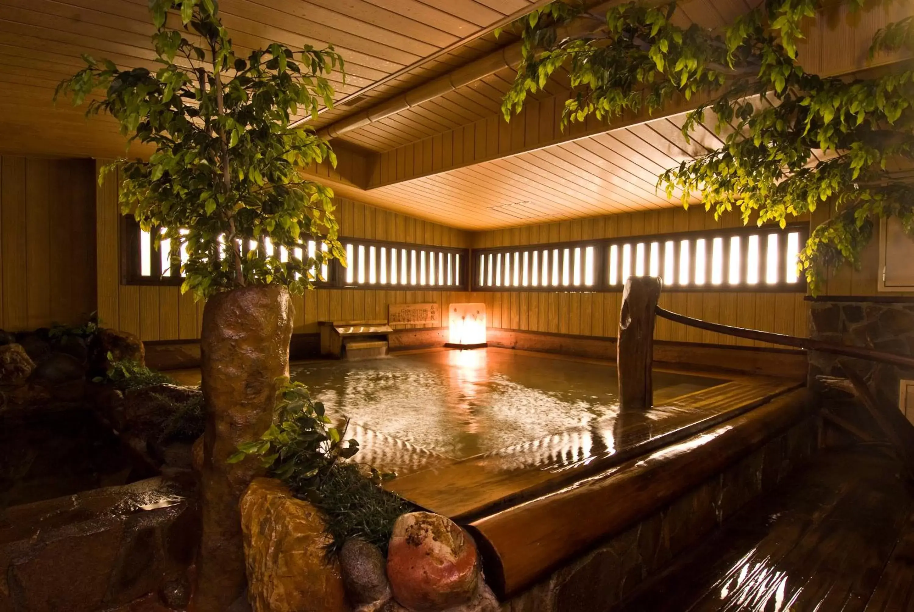 Public Bath, Swimming Pool in the b suidobashi