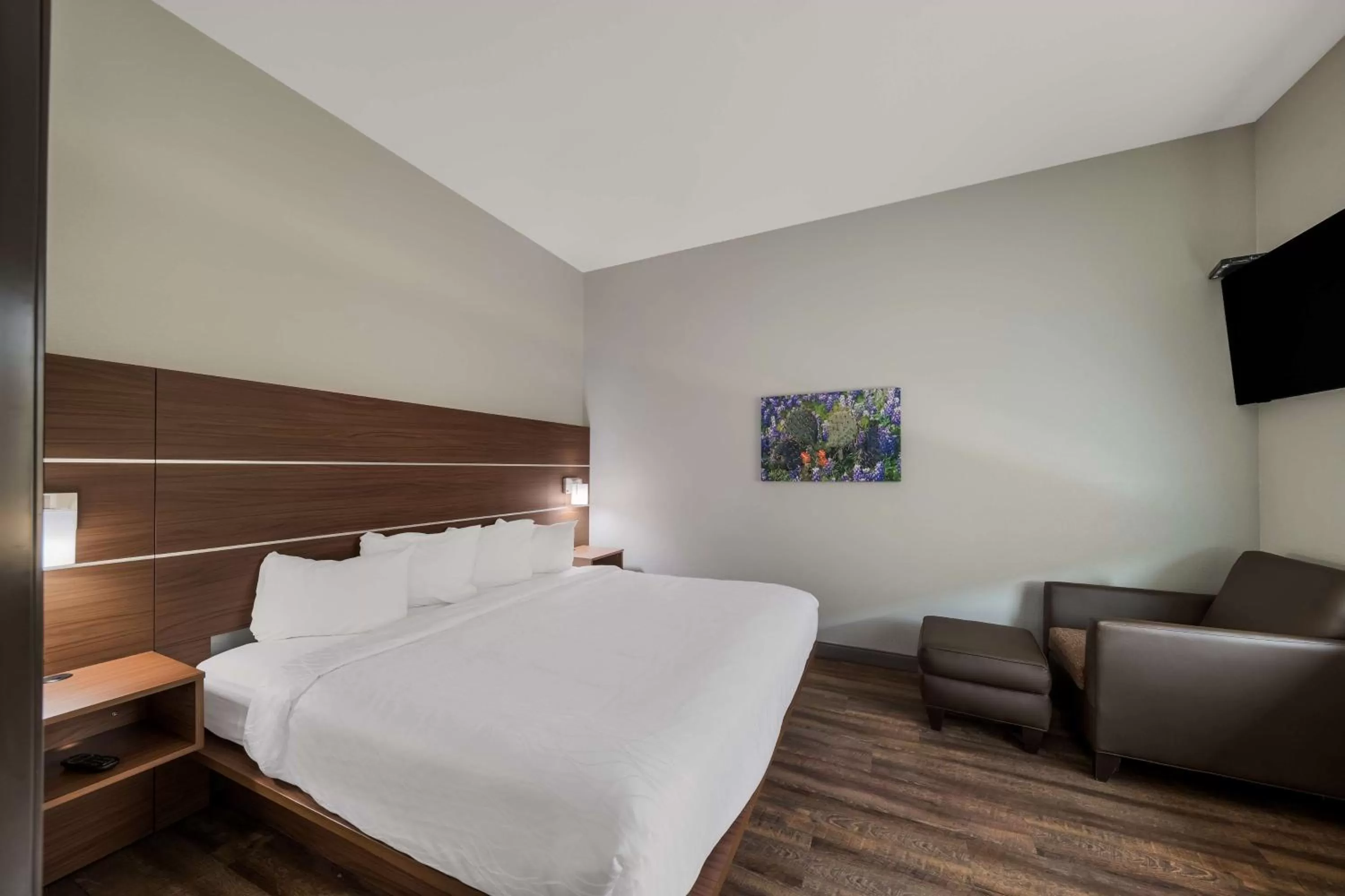 Photo of the whole room, Bed in Best Western Bowie Inn & Suites