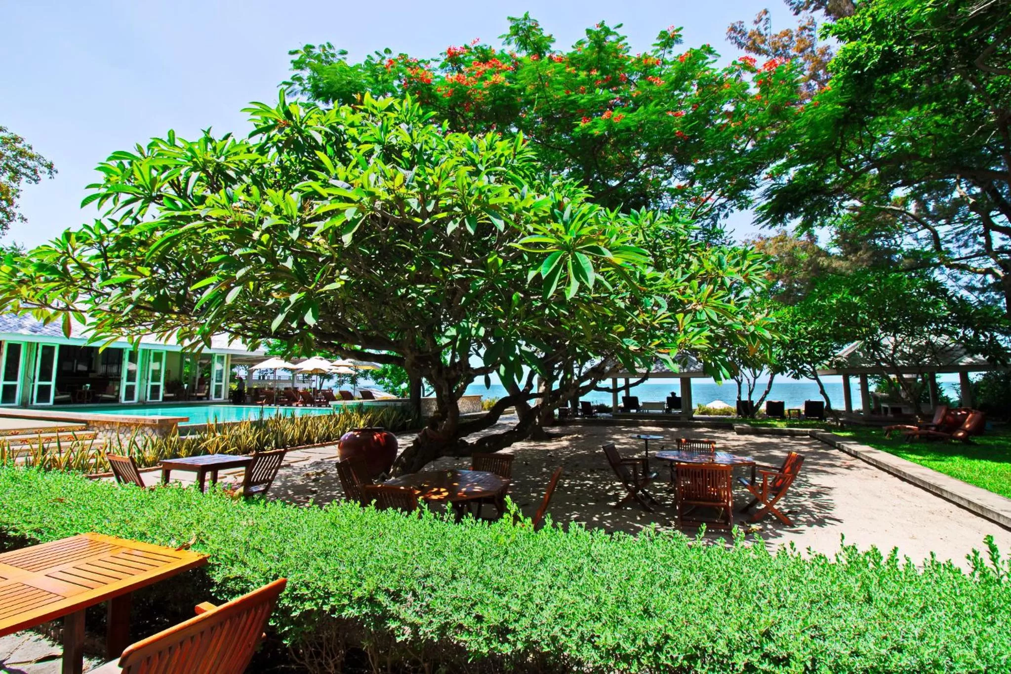 Garden in Baan Bayan - Hua Hin - SHA Extra Plus