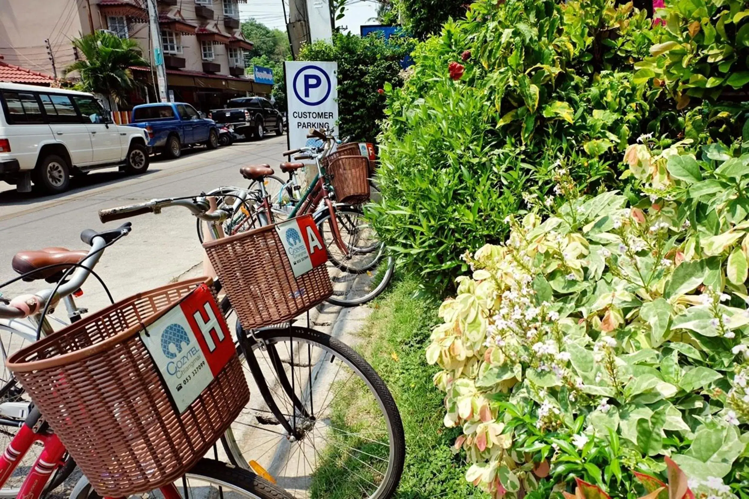 Cycling in Cozytel