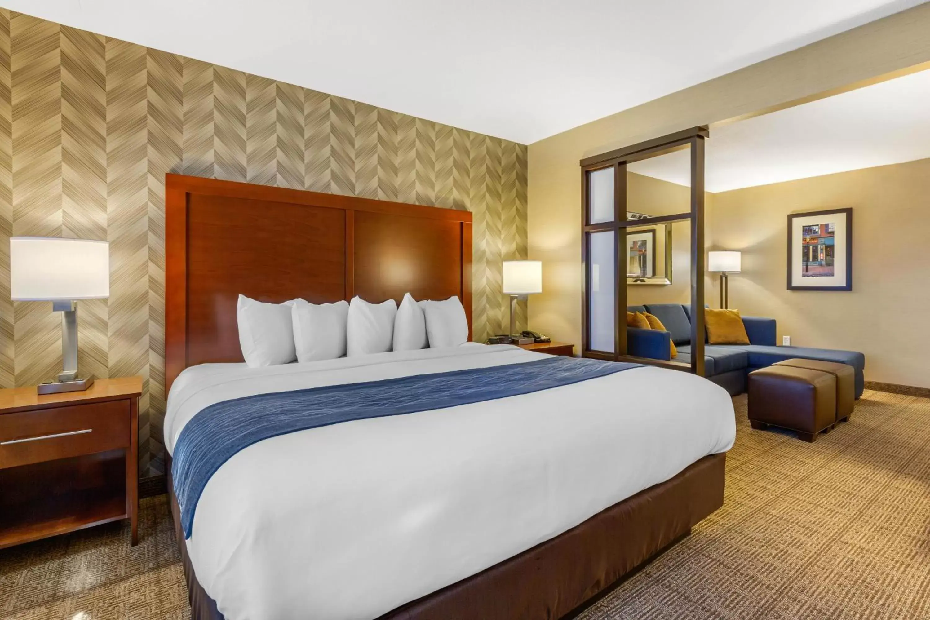 King Suite - Accessible/Non-Smoking in Comfort Inn & Suites Logan International Airport