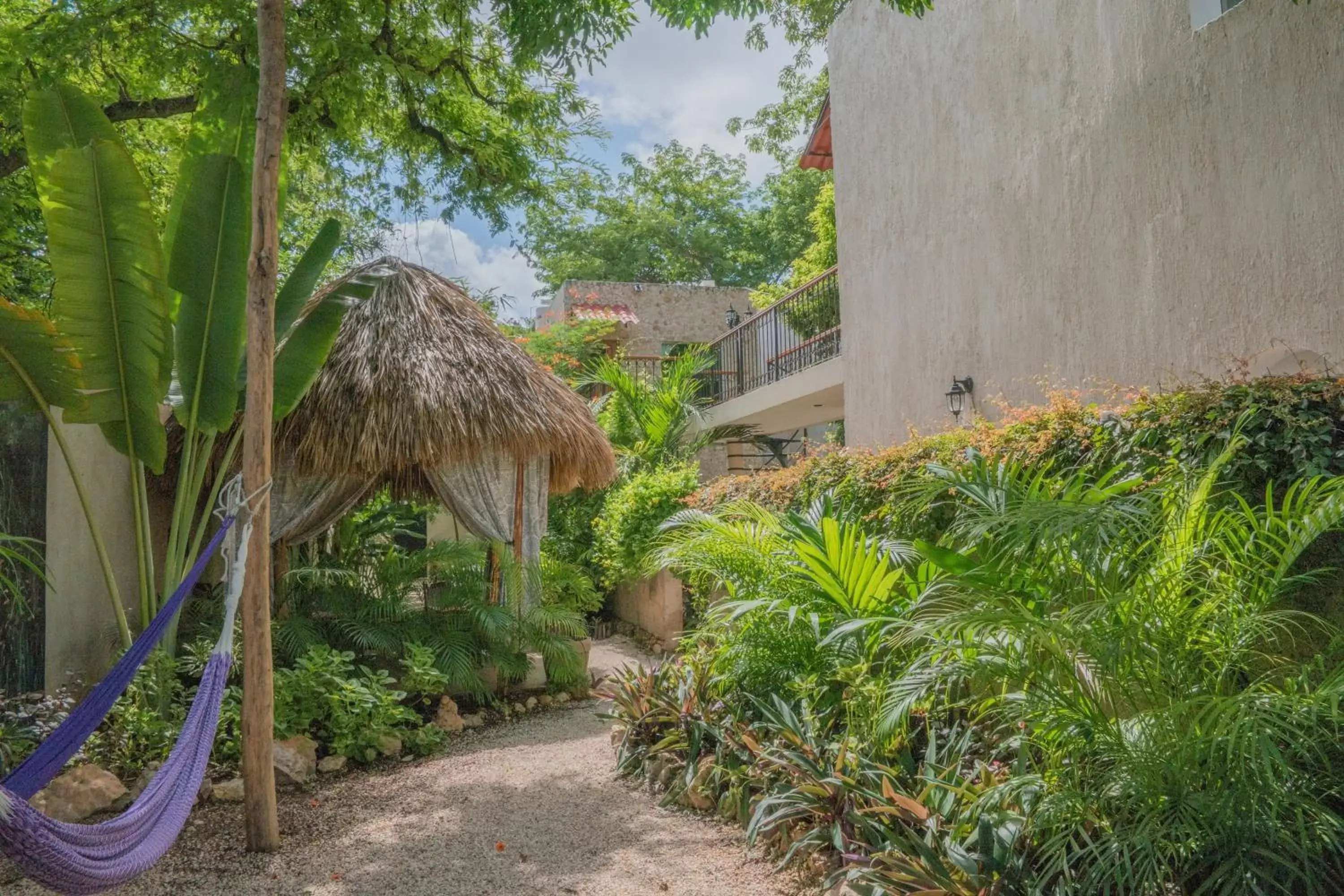 Garden, Property Building in Casa Del Maya Bed & Breakfast