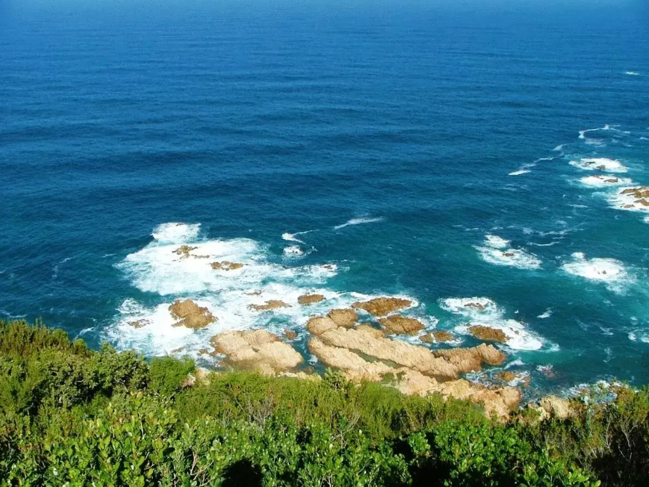 Area and facilities in Knysna Log-Inn Hotel