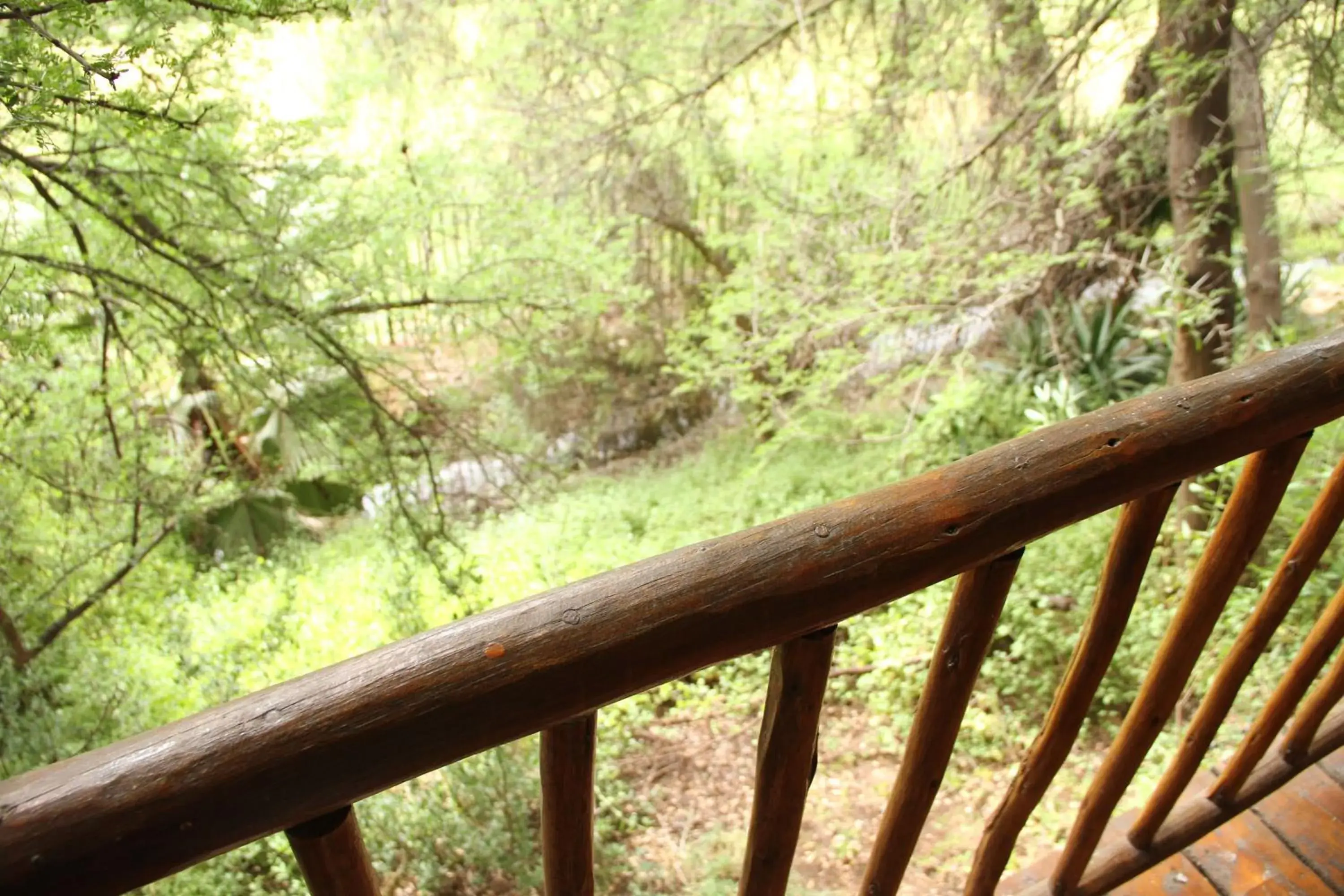 Natural landscape in Riverside Guest Lodge