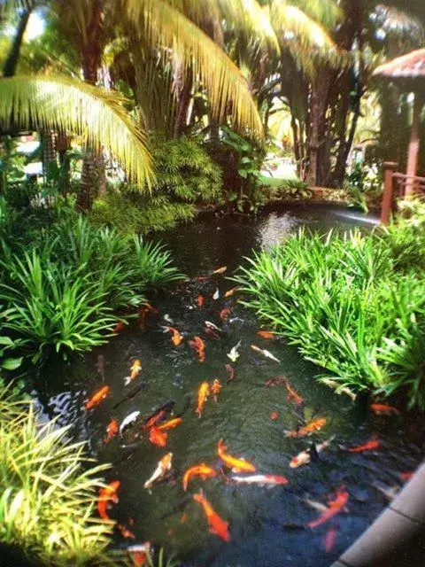 Garden in Tiara Labuan Hotel