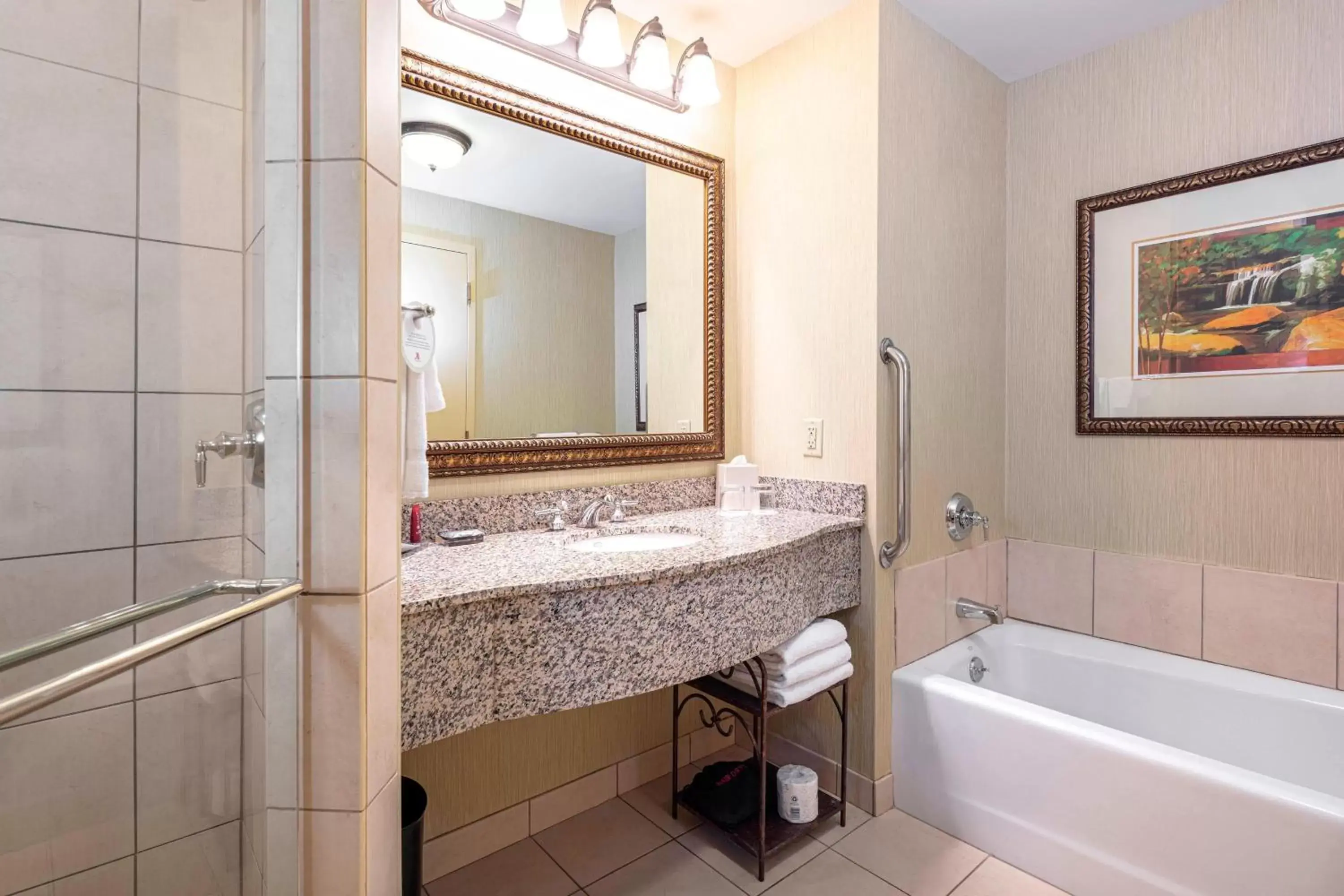 Bathroom in Marriott Shoals Hotel & Spa