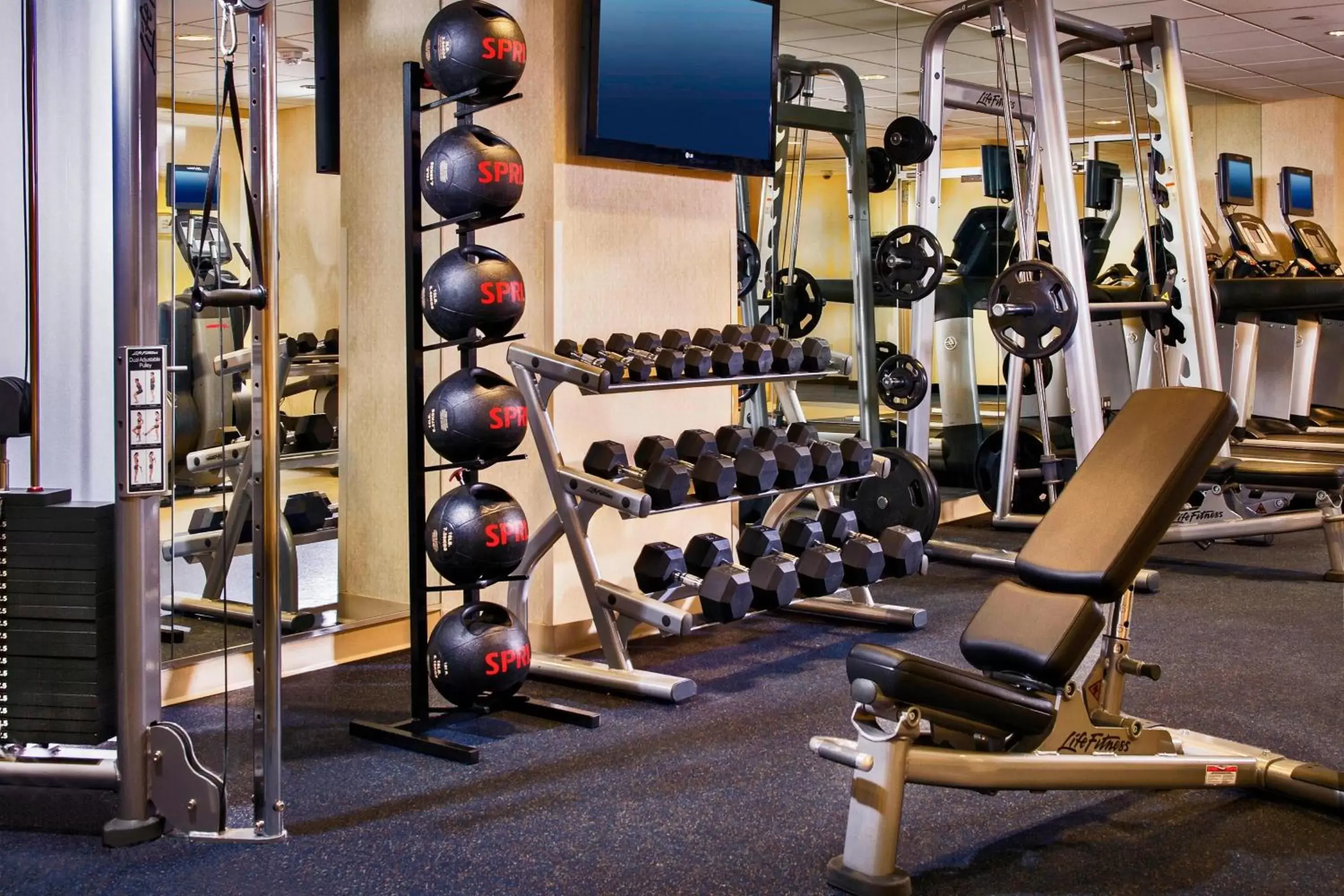 Fitness centre/facilities, Fitness Center/Facilities in BWI Airport Marriott