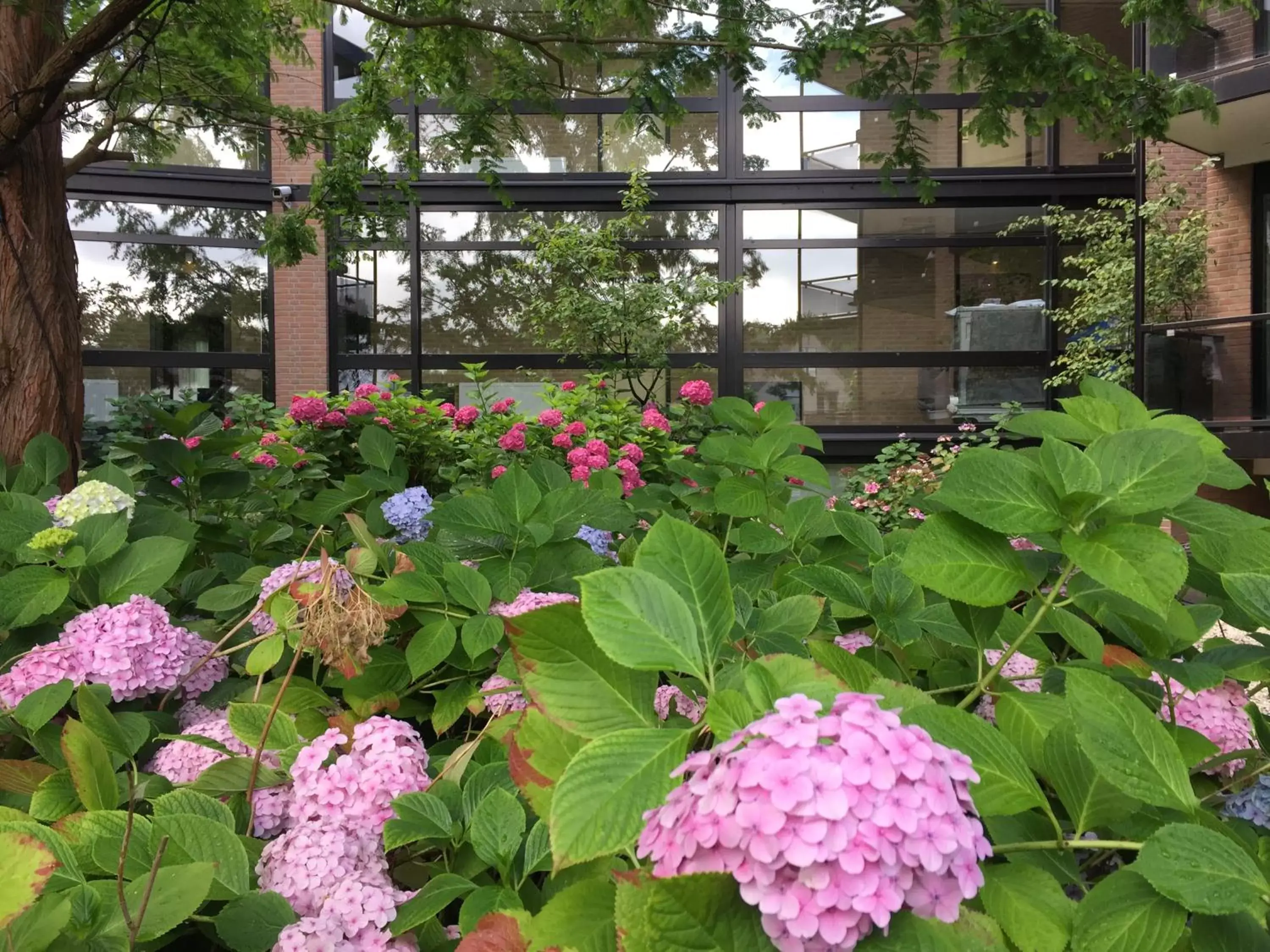 Property building, Garden in Van der Valk Hotel Leiden